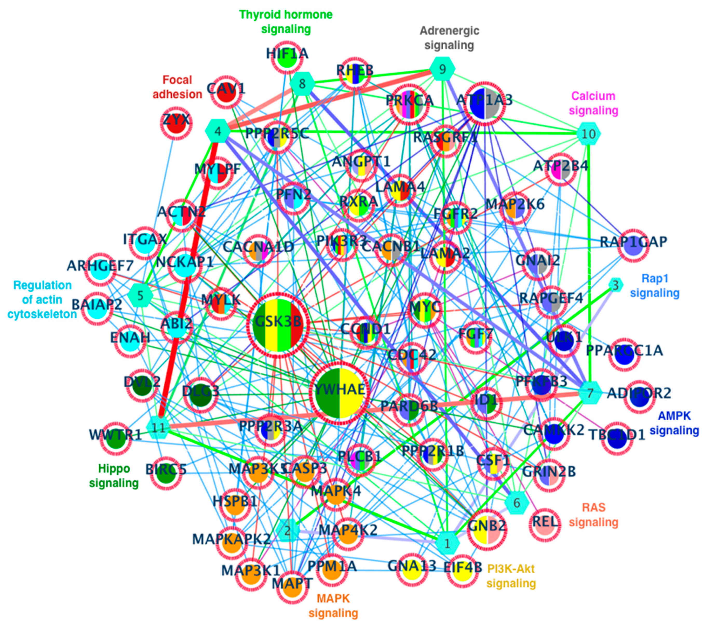 Cells 11 04121 g006 Cells 11 04121 g006