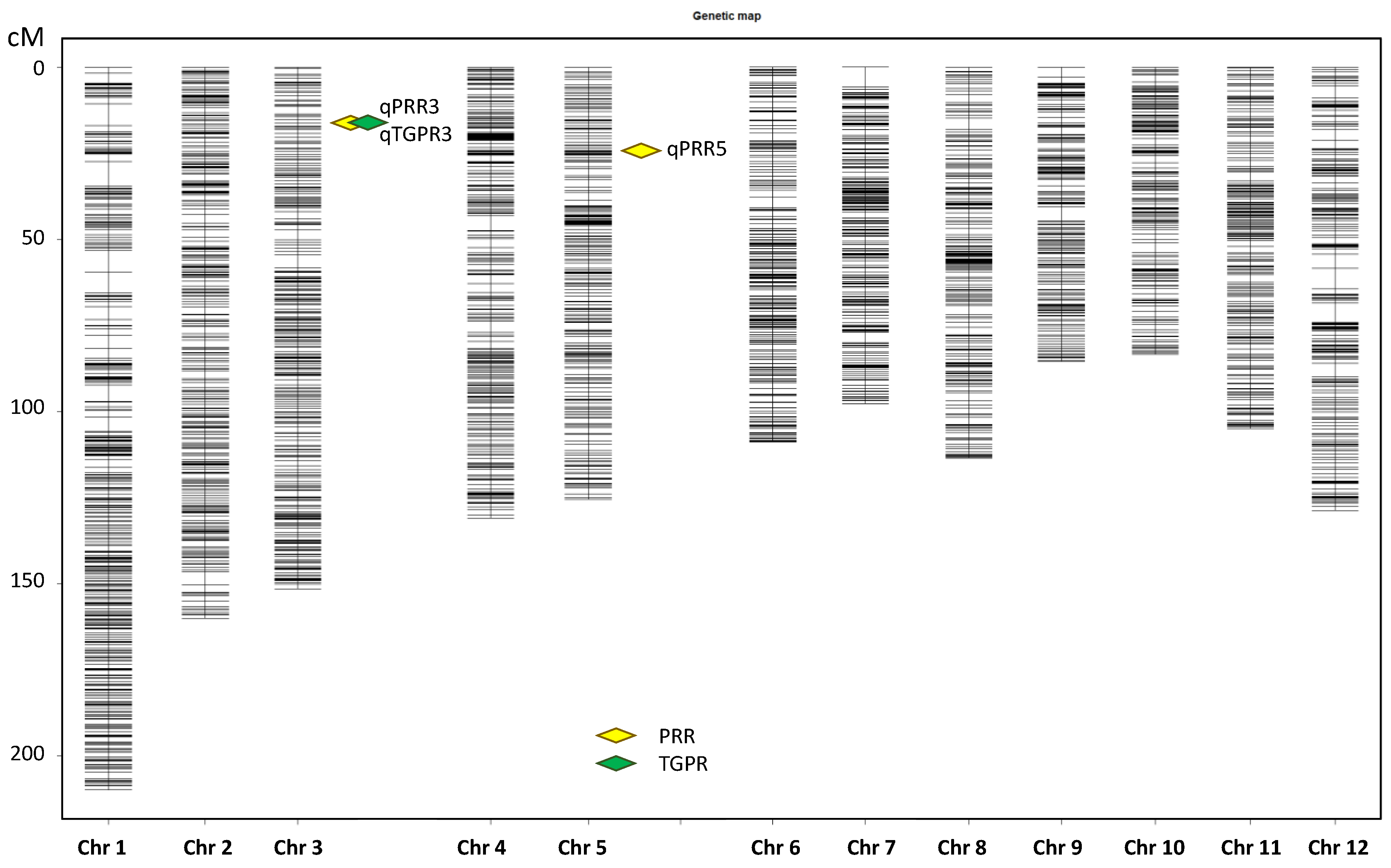 Cells 11 04125 g003 Cells 11 04125 g003