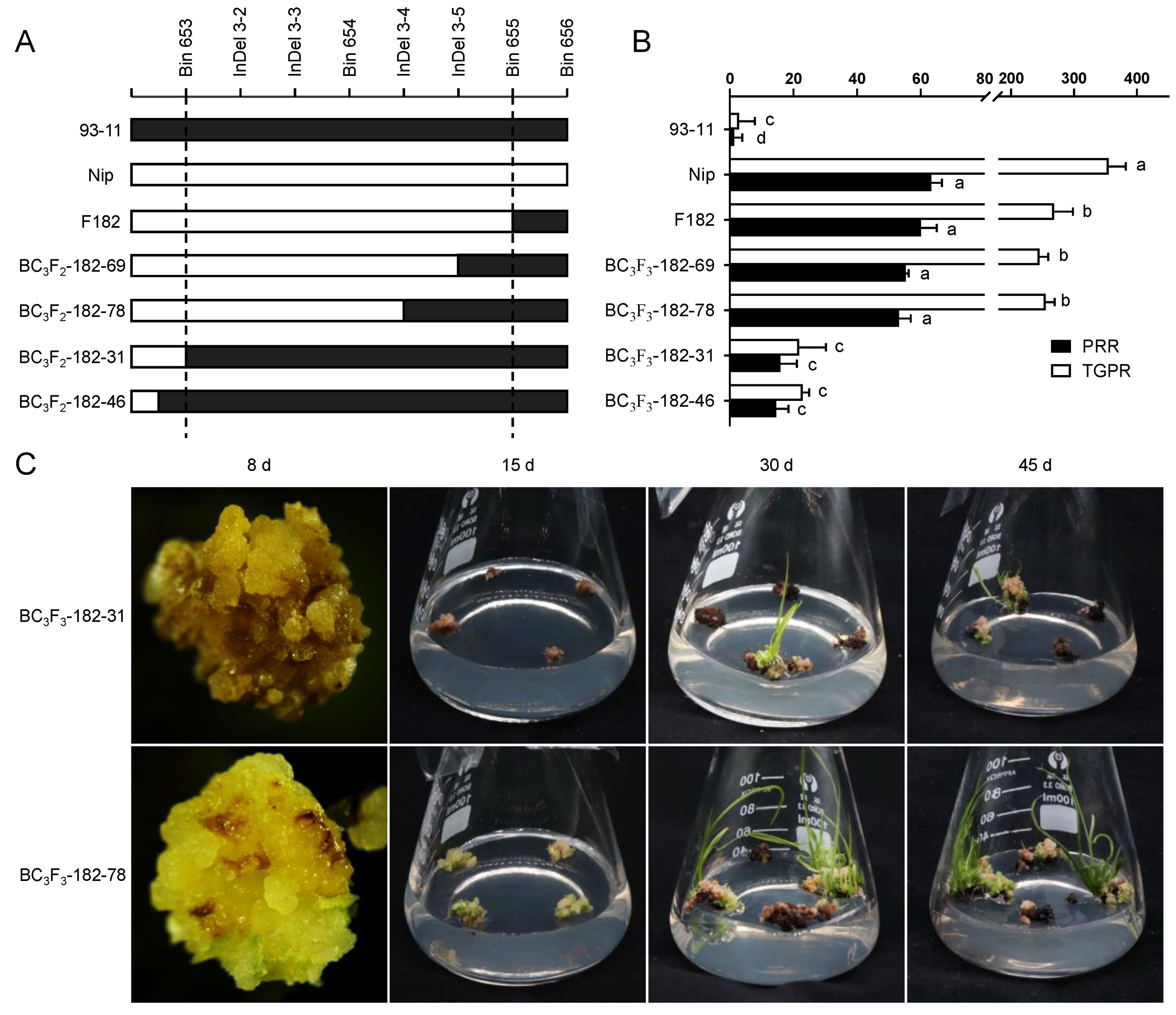 Cells 11 04125 g004 Cells 11 04125 g004