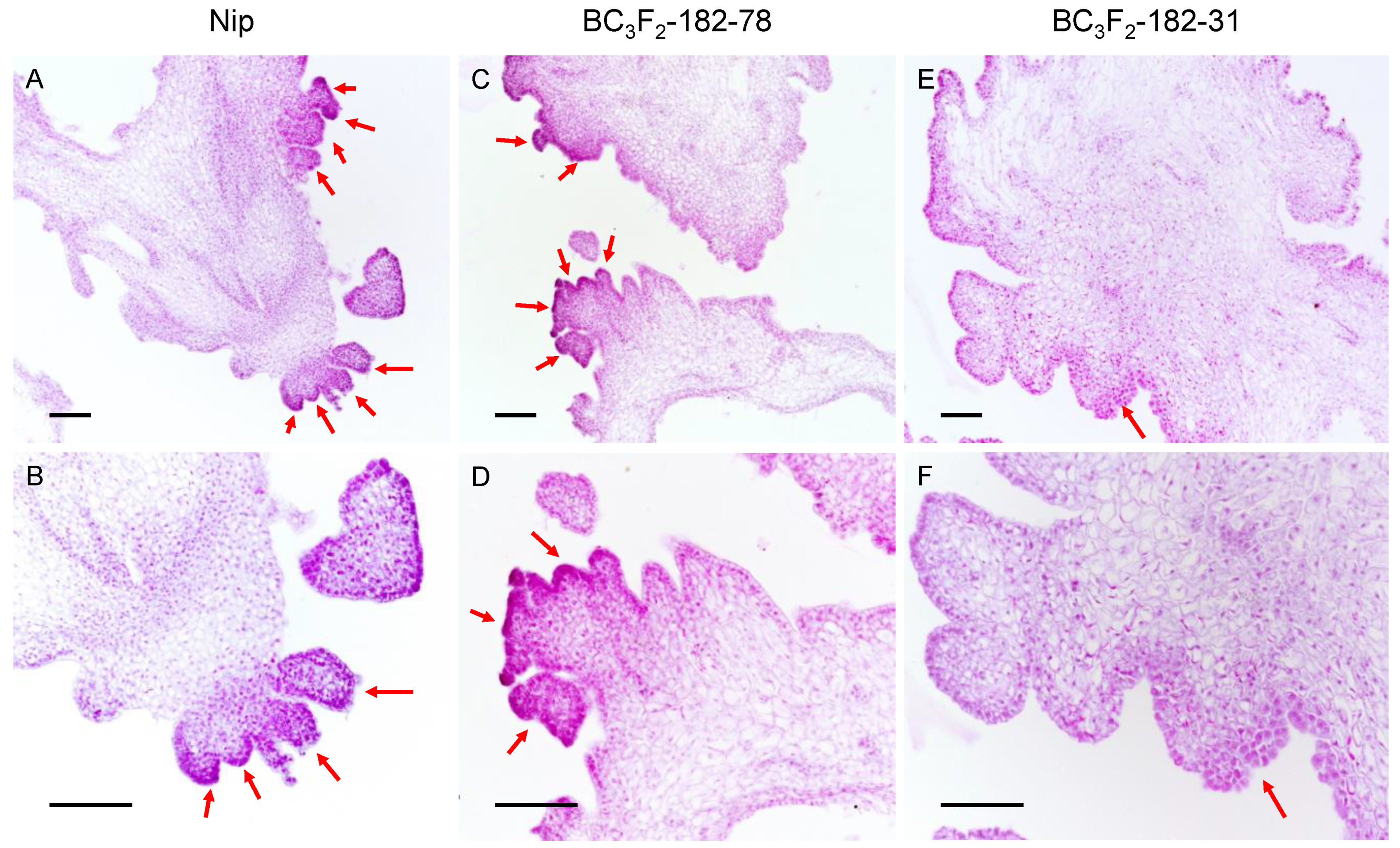 Cells 11 04125 g005 Cells 11 04125 g005