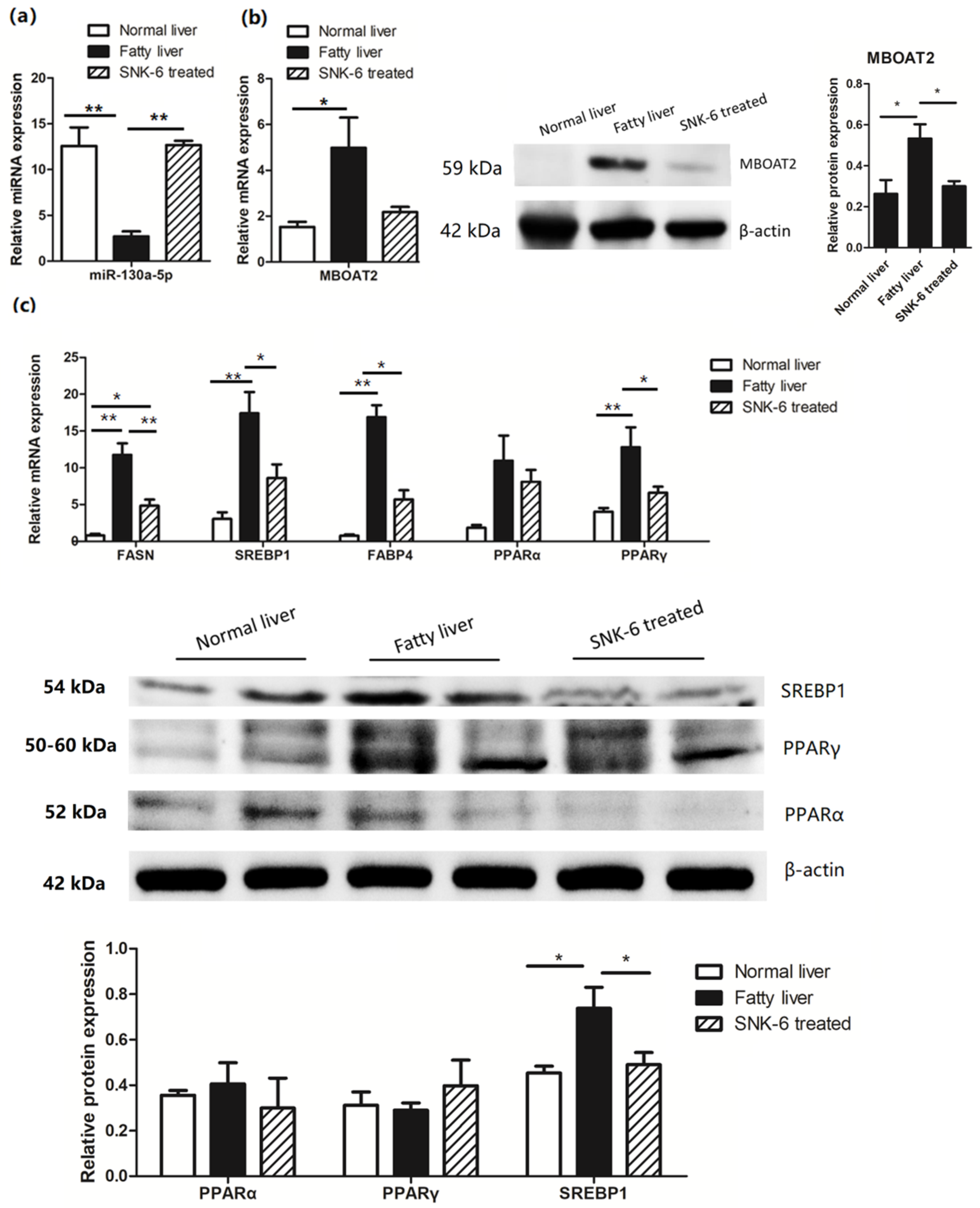 Cells 11 04133 g003 Cells 11 04133 g003