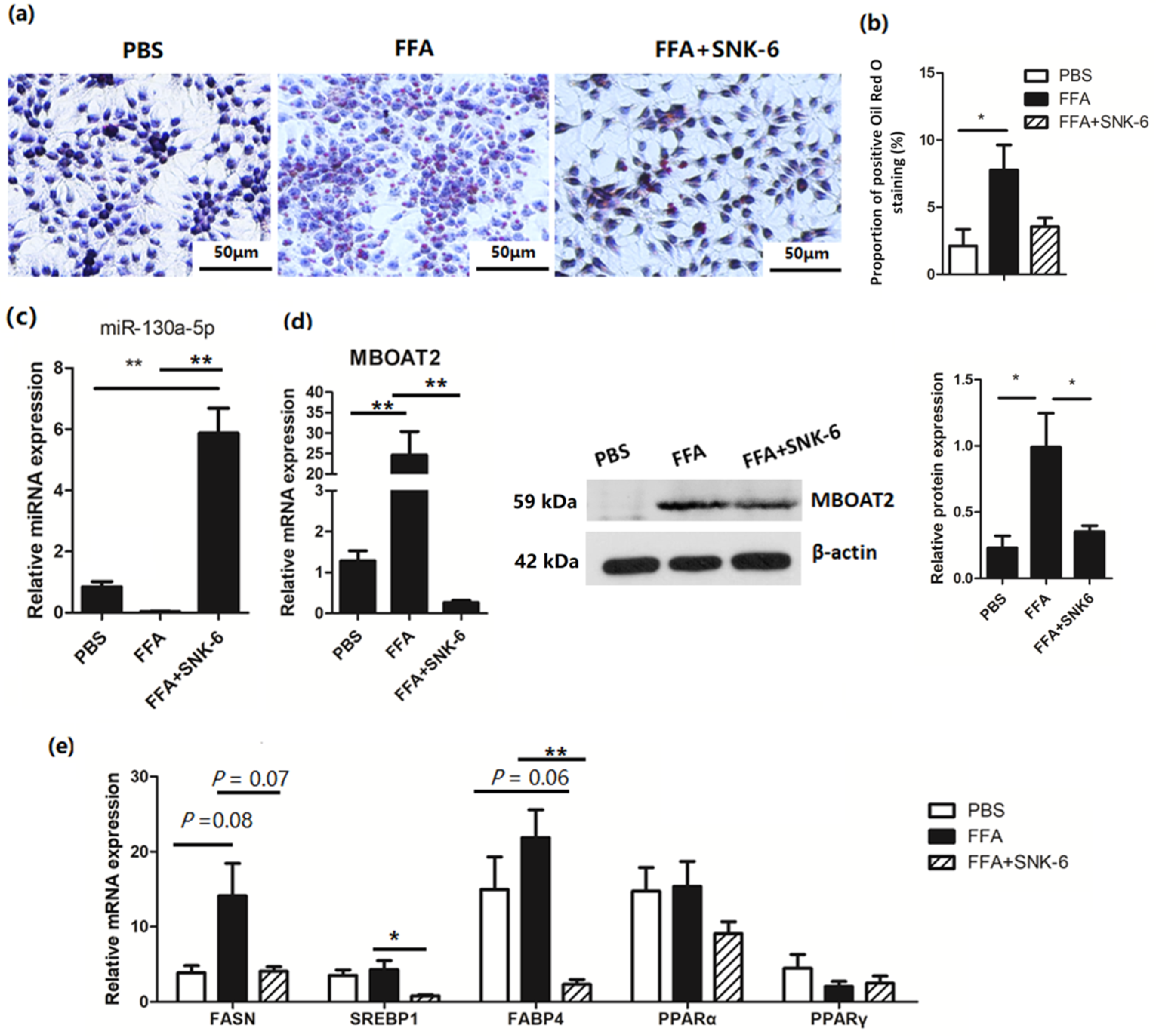 Cells 11 04133 g004 Cells 11 04133 g004