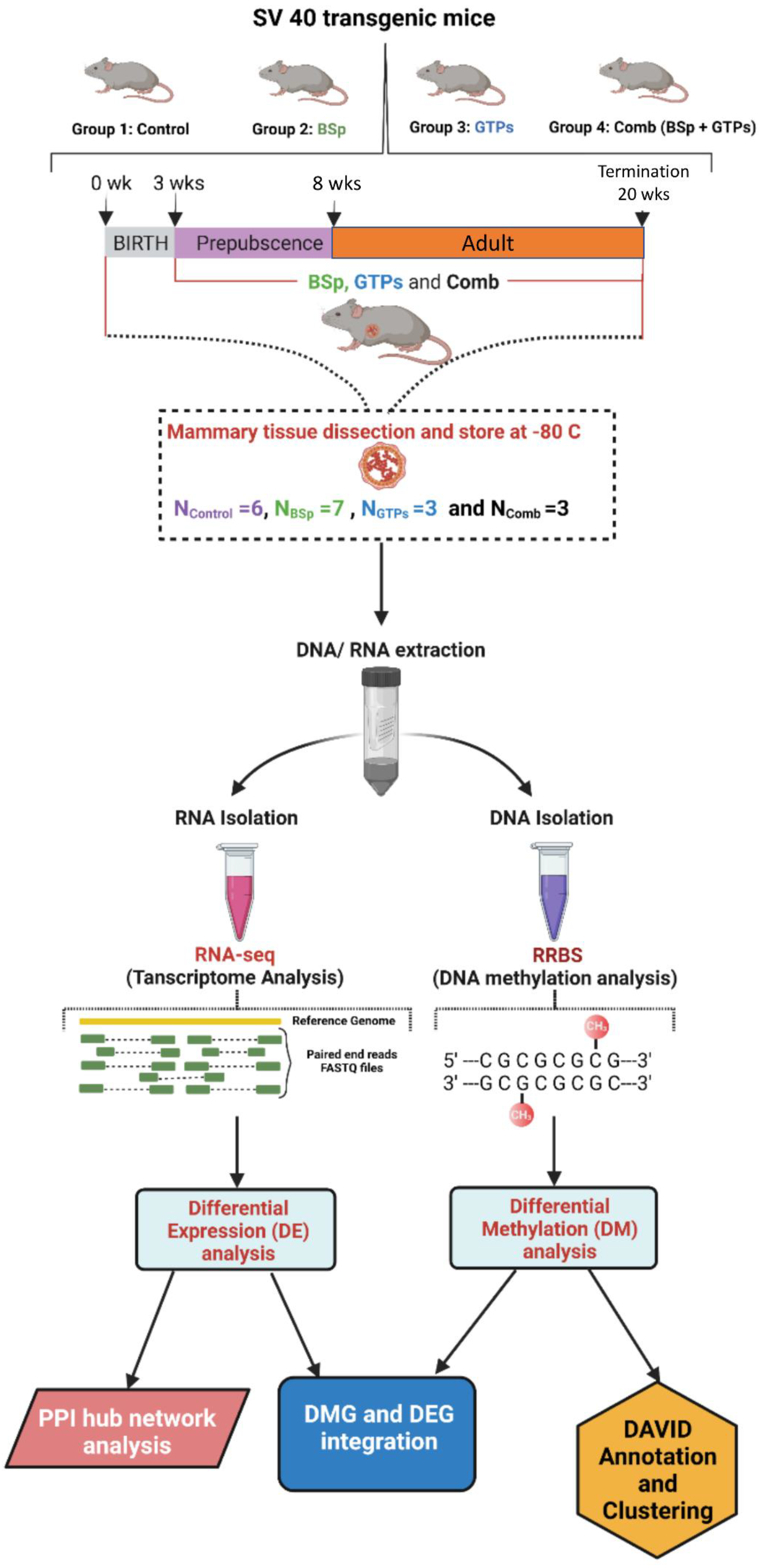 Cells 12 00014 g001 Cells 12 00014 g001
