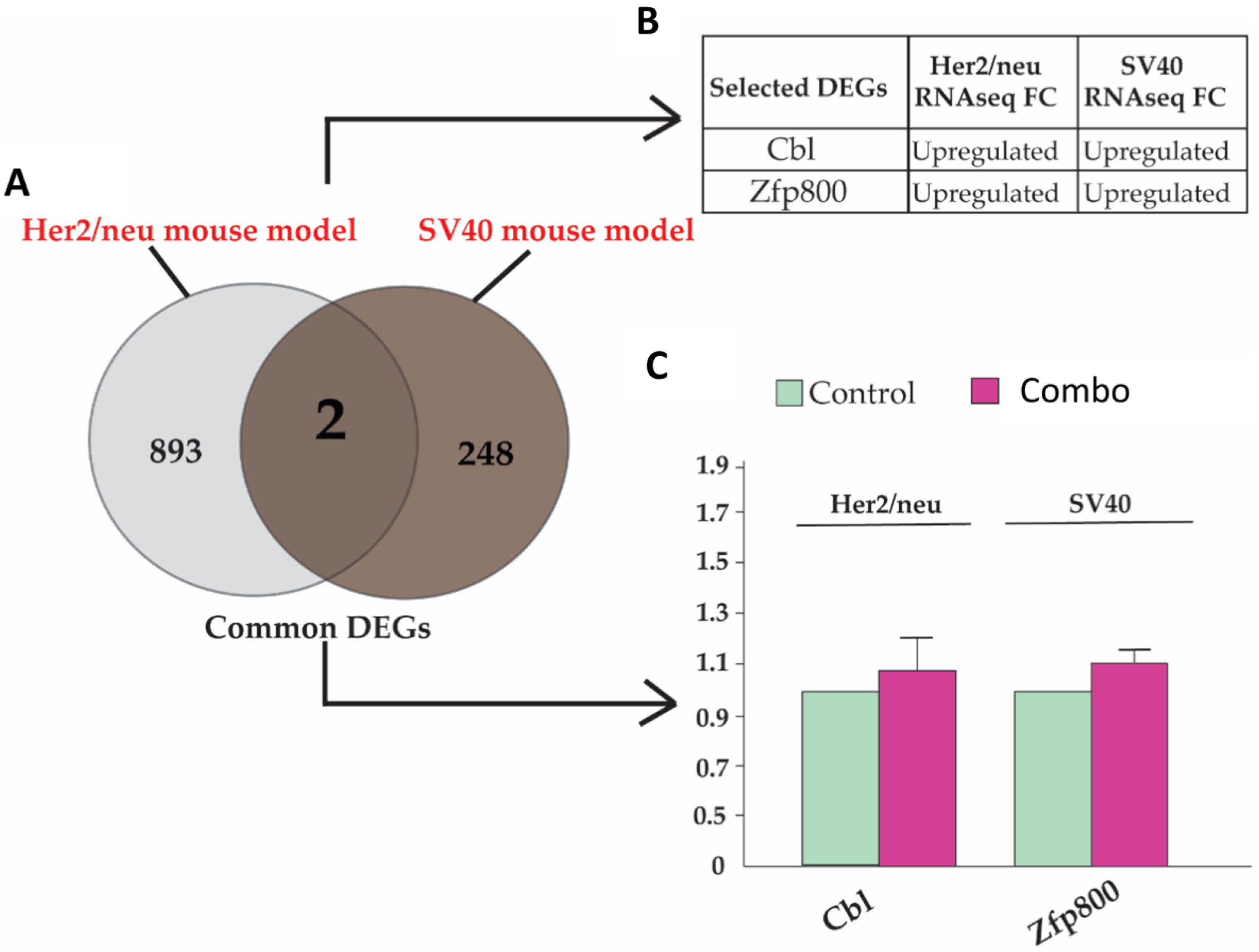Cells 12 00014 g004 Cells 12 00014 g004