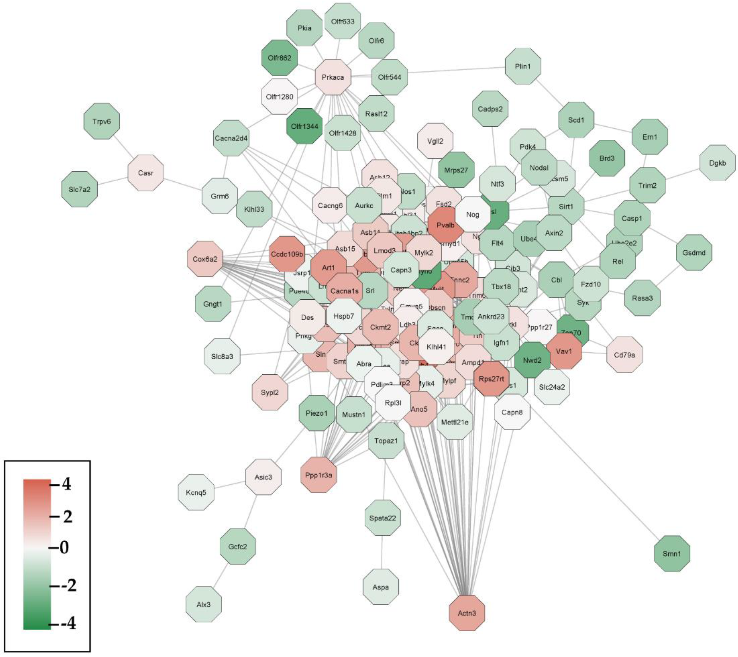 Cells 12 00014 g005 Cells 12 00014 g005