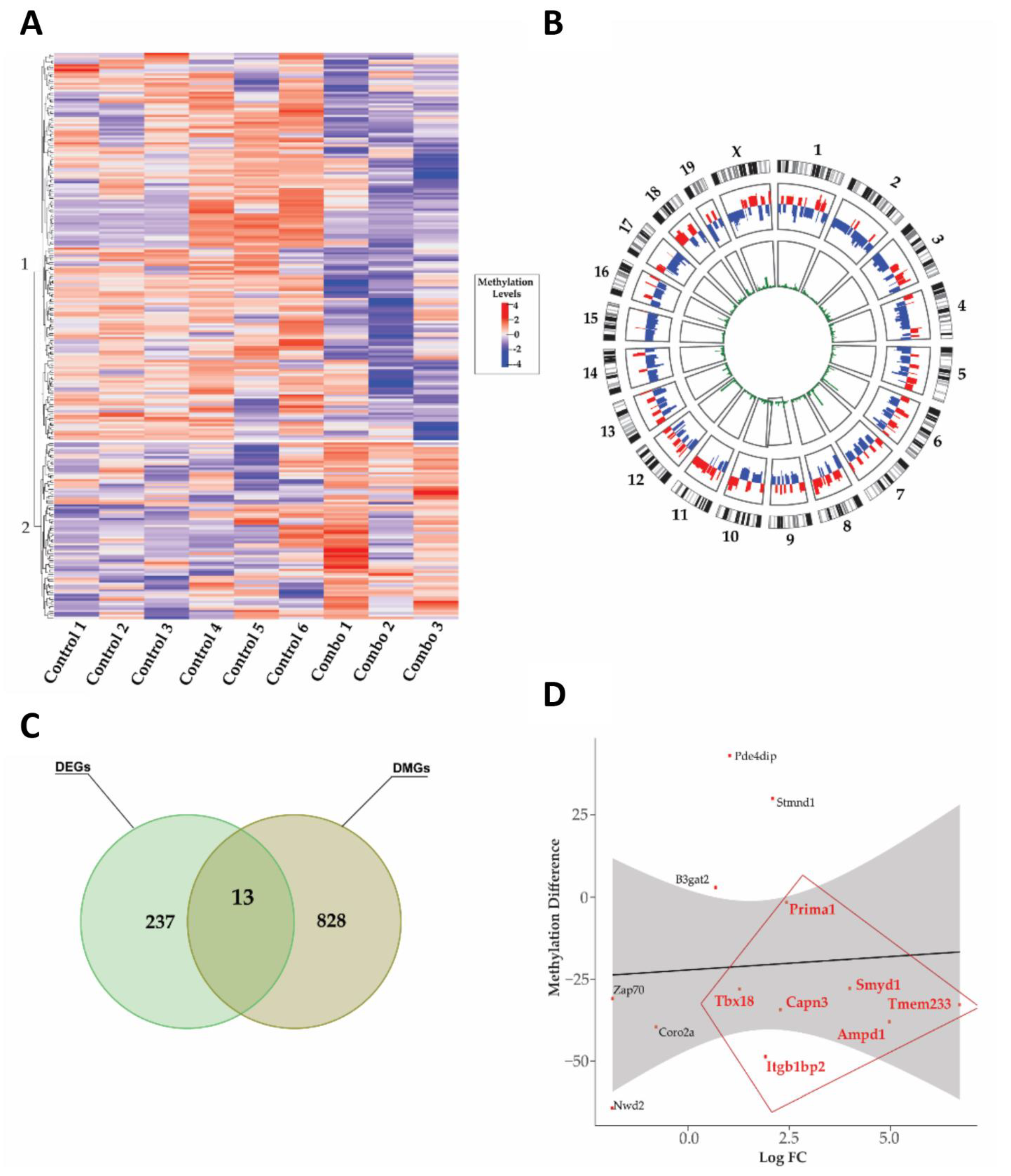 Cells 12 00014 g007 Cells 12 00014 g007