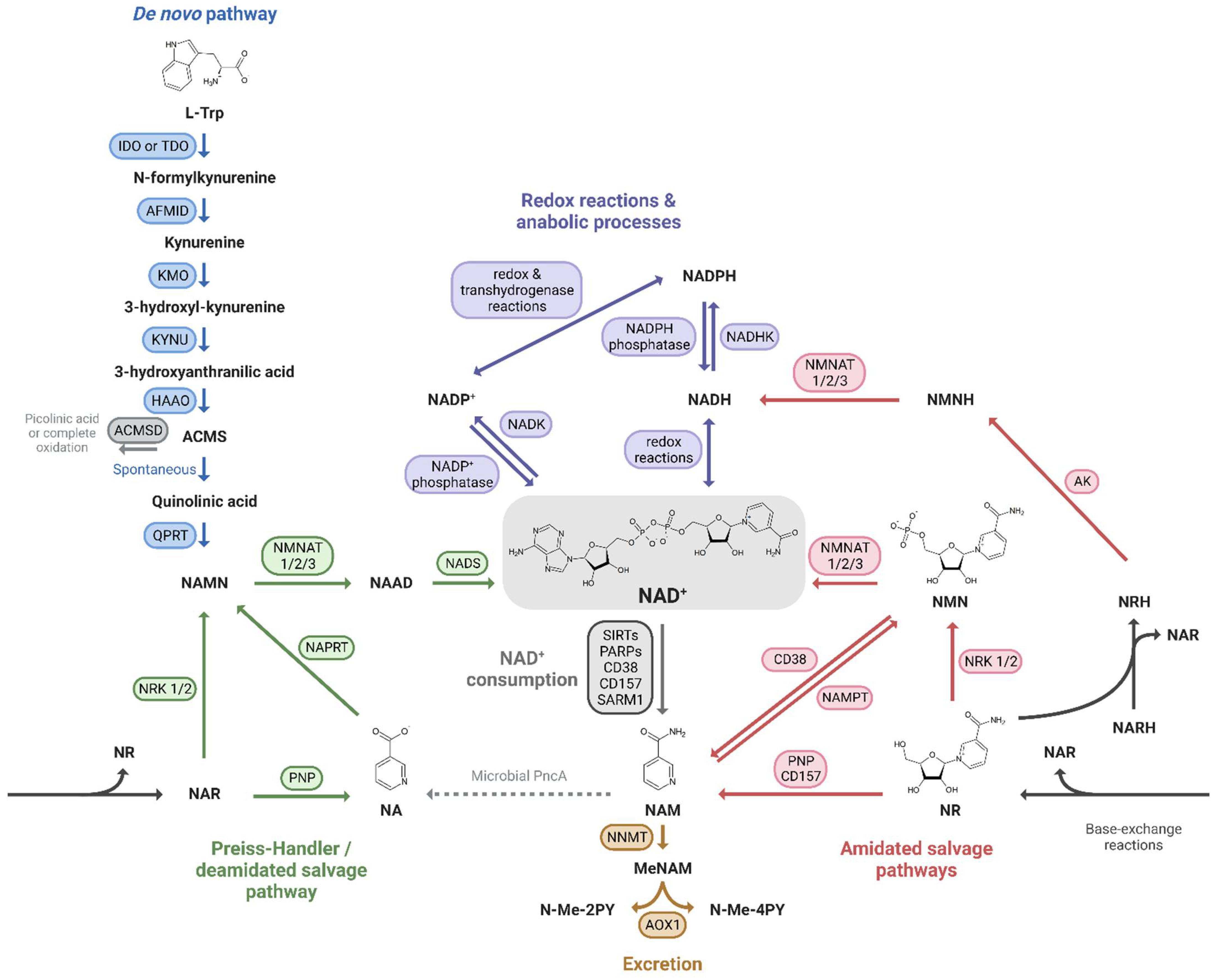 Cells 12 00021 g001 Cells 12 00021 g001