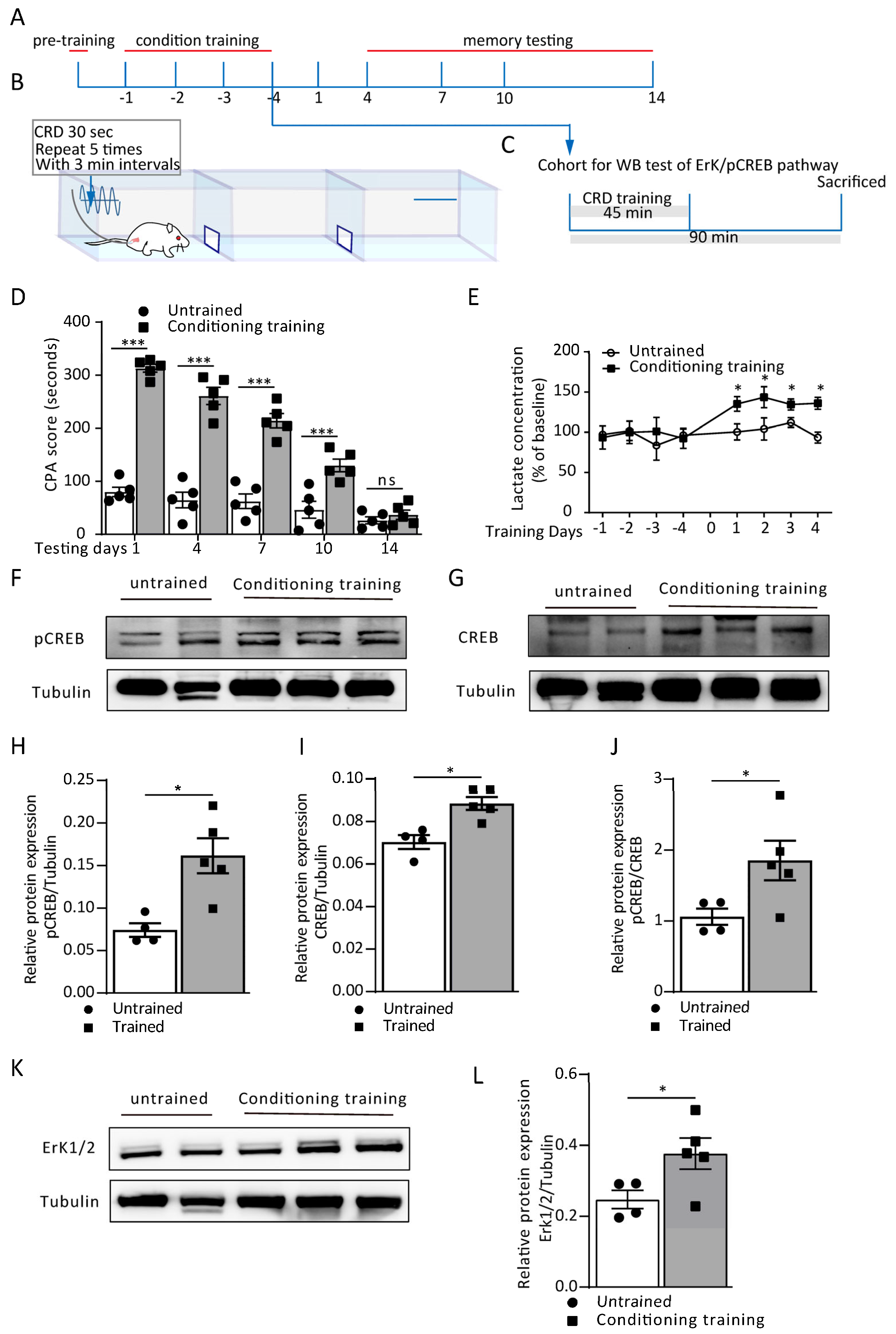 Cells 12 00026 g001 Cells 12 00026 g001