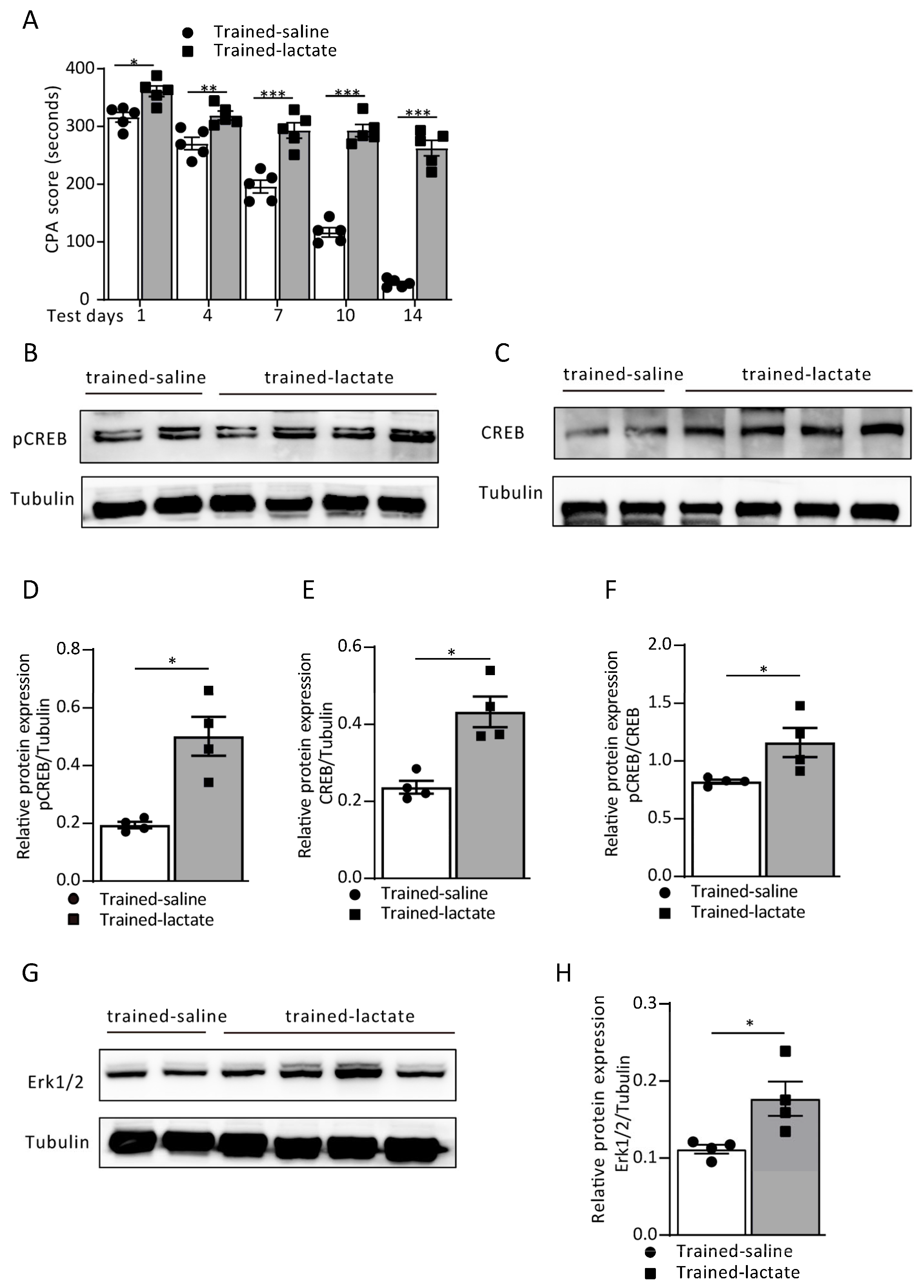 Cells 12 00026 g002 Cells 12 00026 g002