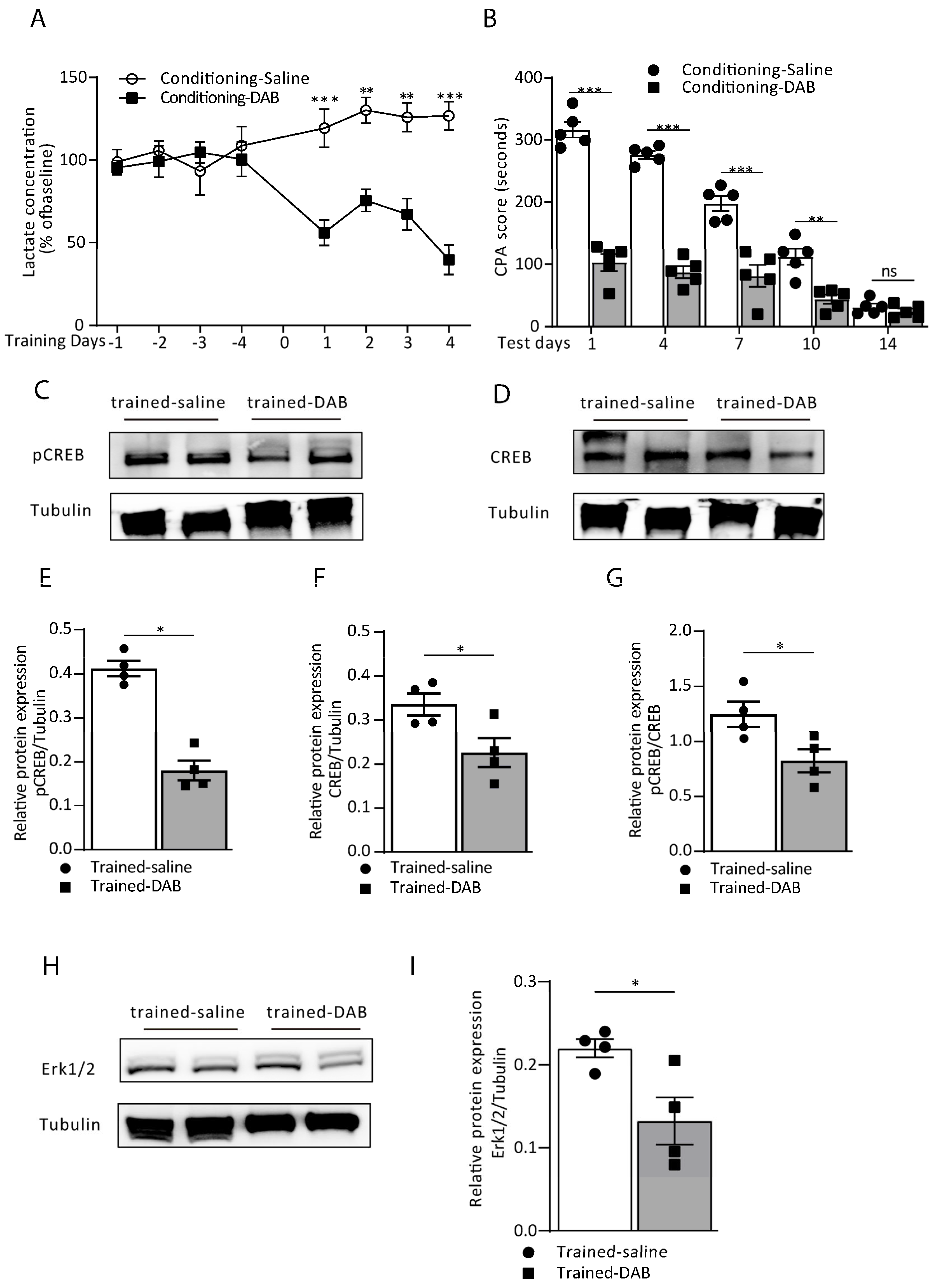 Cells 12 00026 g003 Cells 12 00026 g003