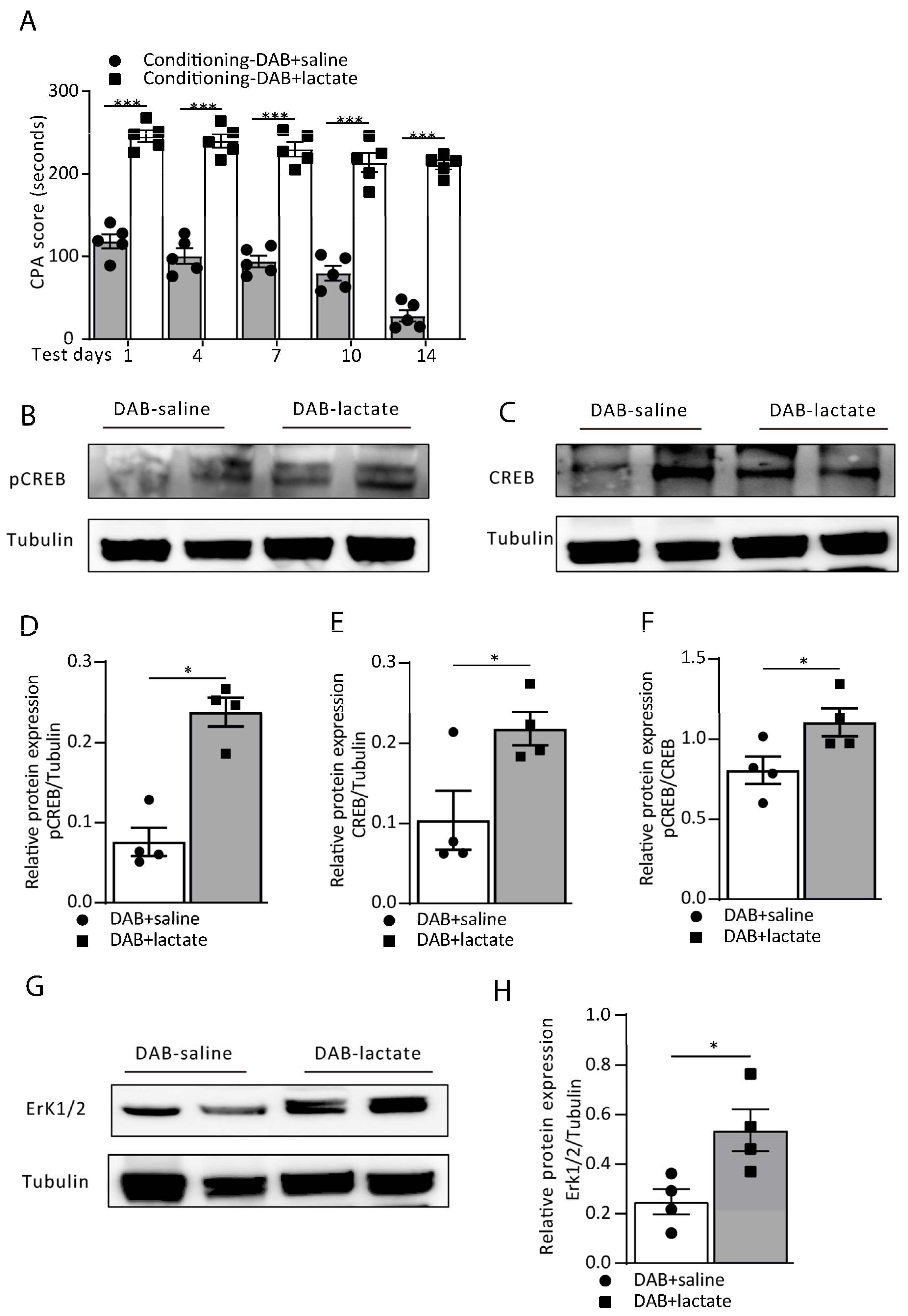Cells 12 00026 g004 Cells 12 00026 g004