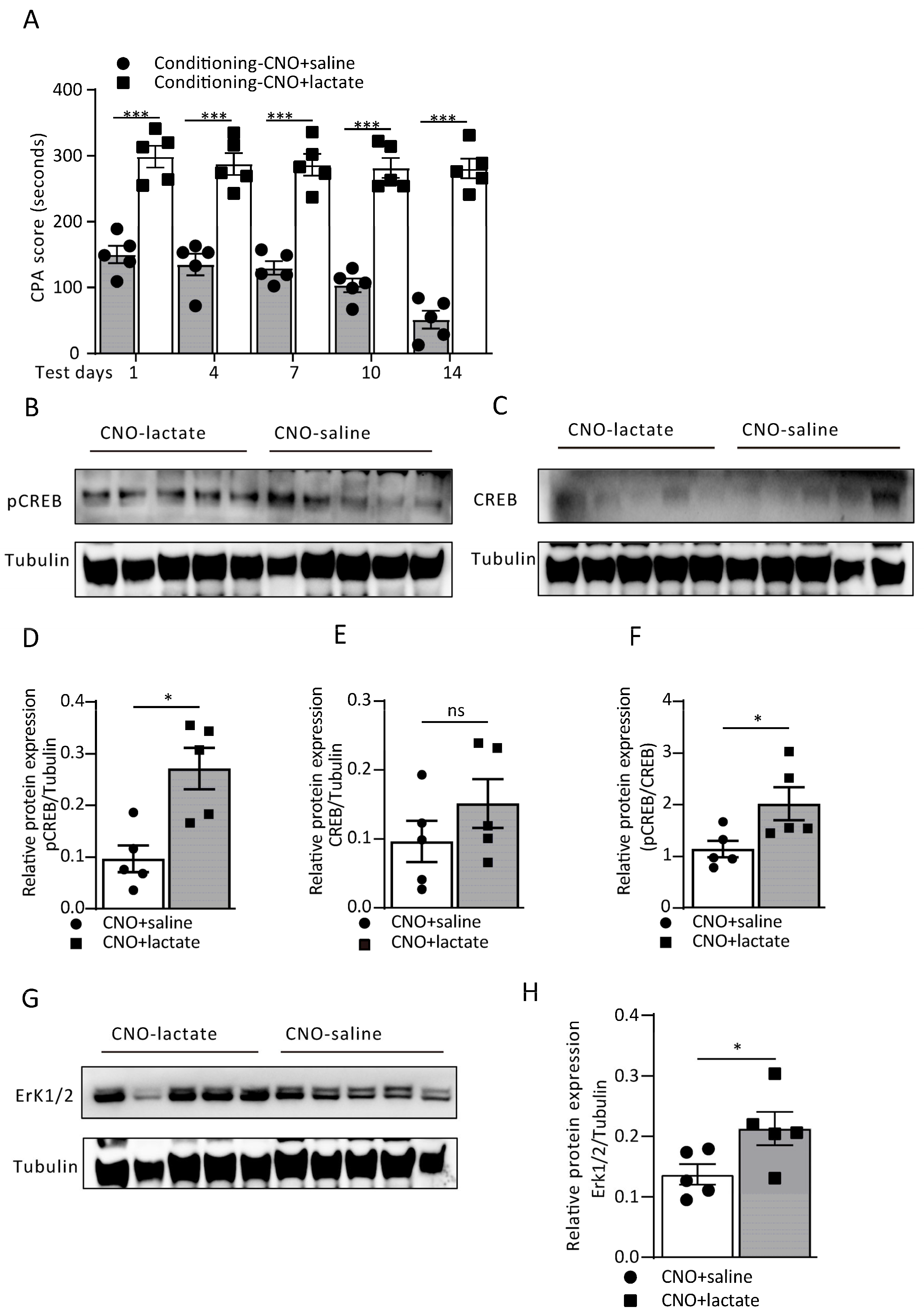 Cells 12 00026 g007 Cells 12 00026 g007