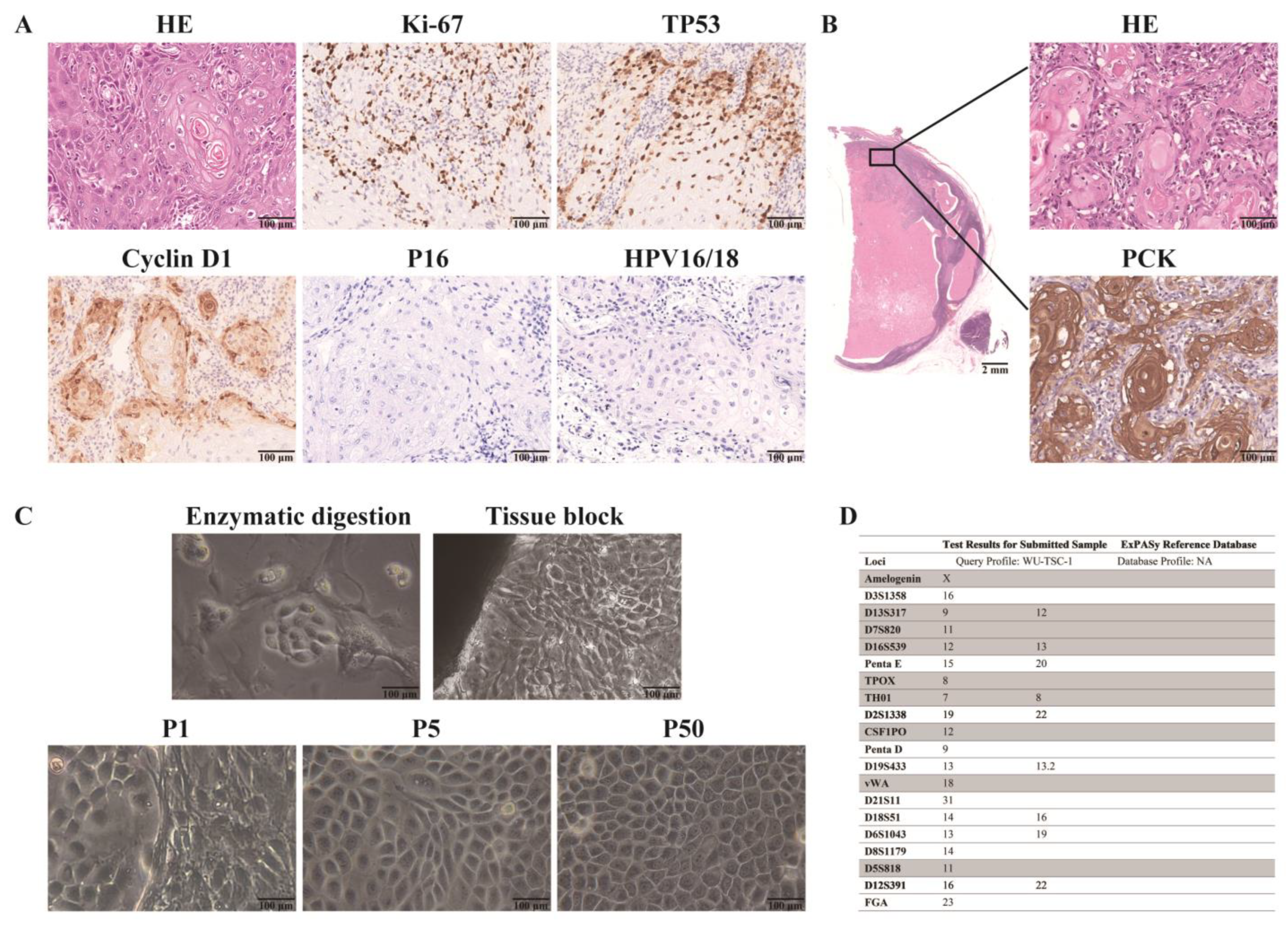 Cells 12 00035 g001