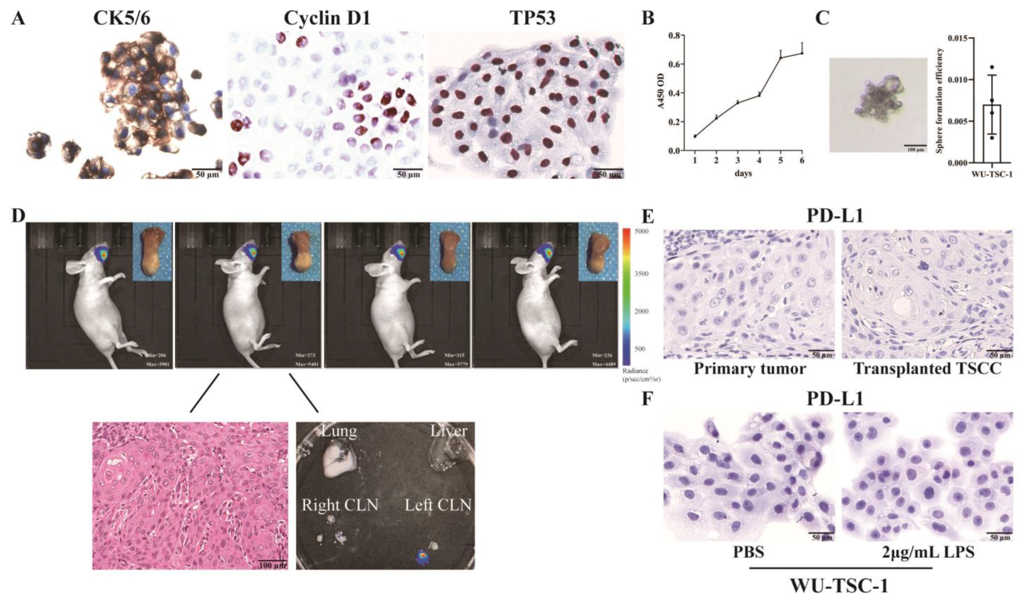 Cells 12 00035 g002