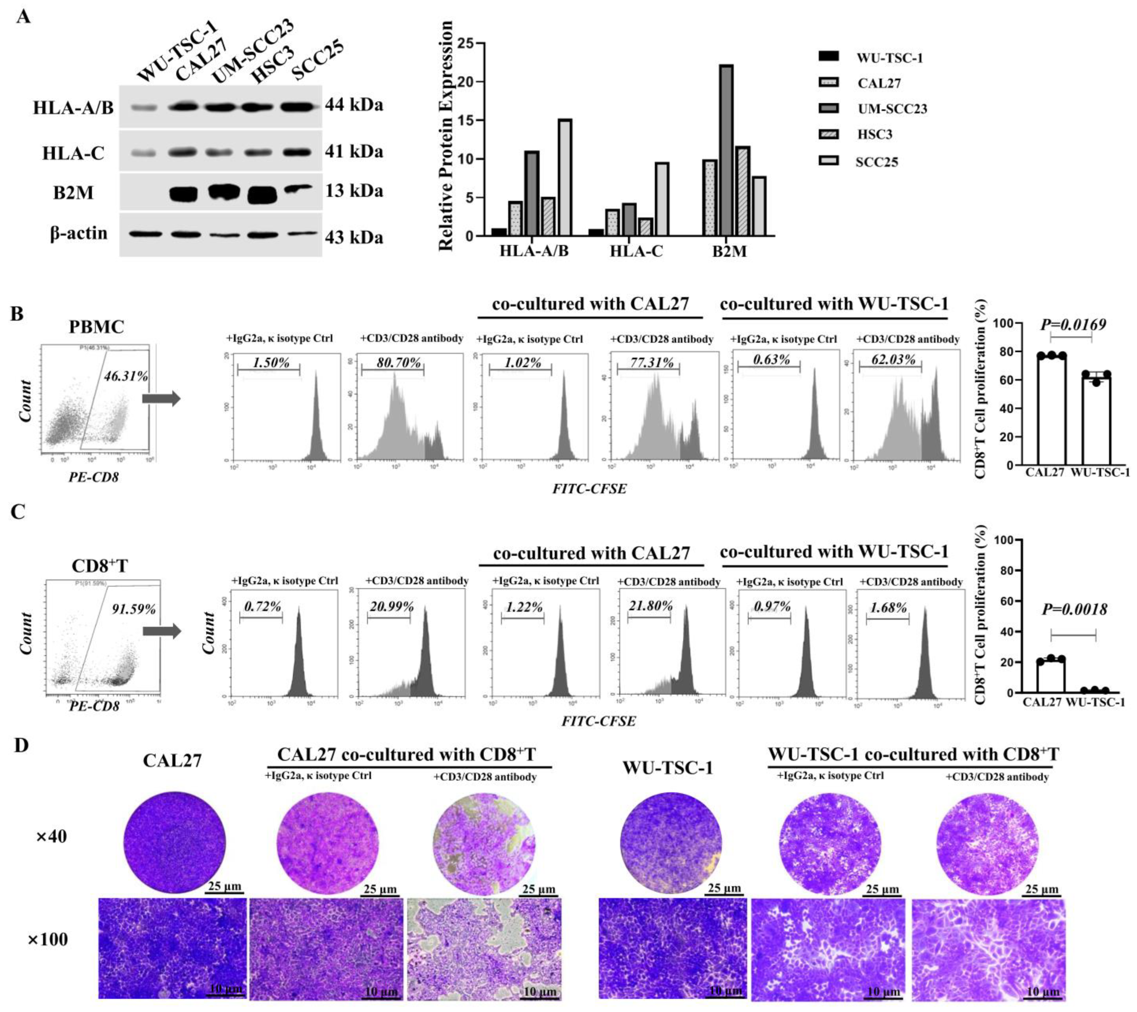 Cells 12 00035 g006