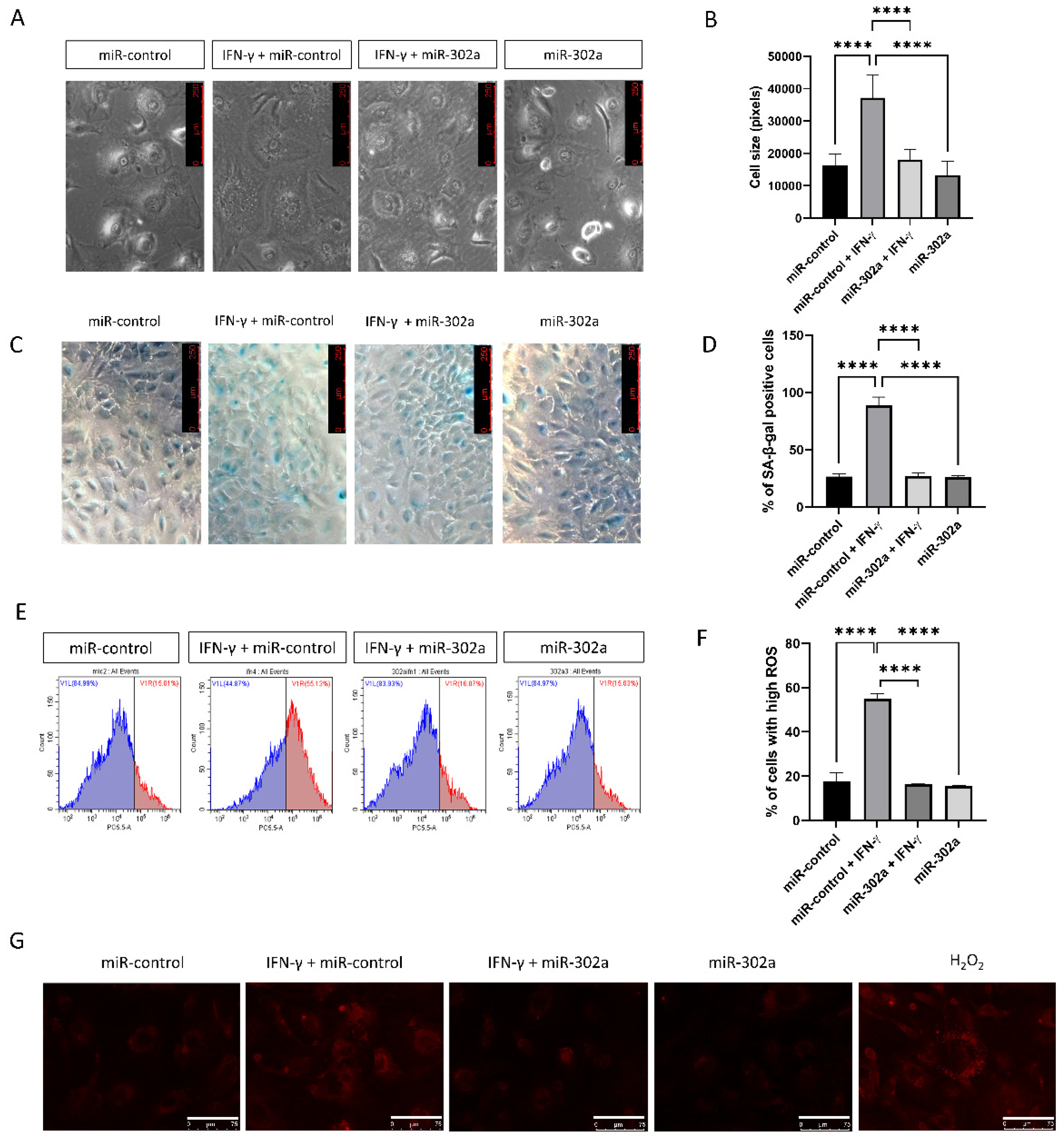 Cells 12 00036 g002 Cells 12 00036 g002