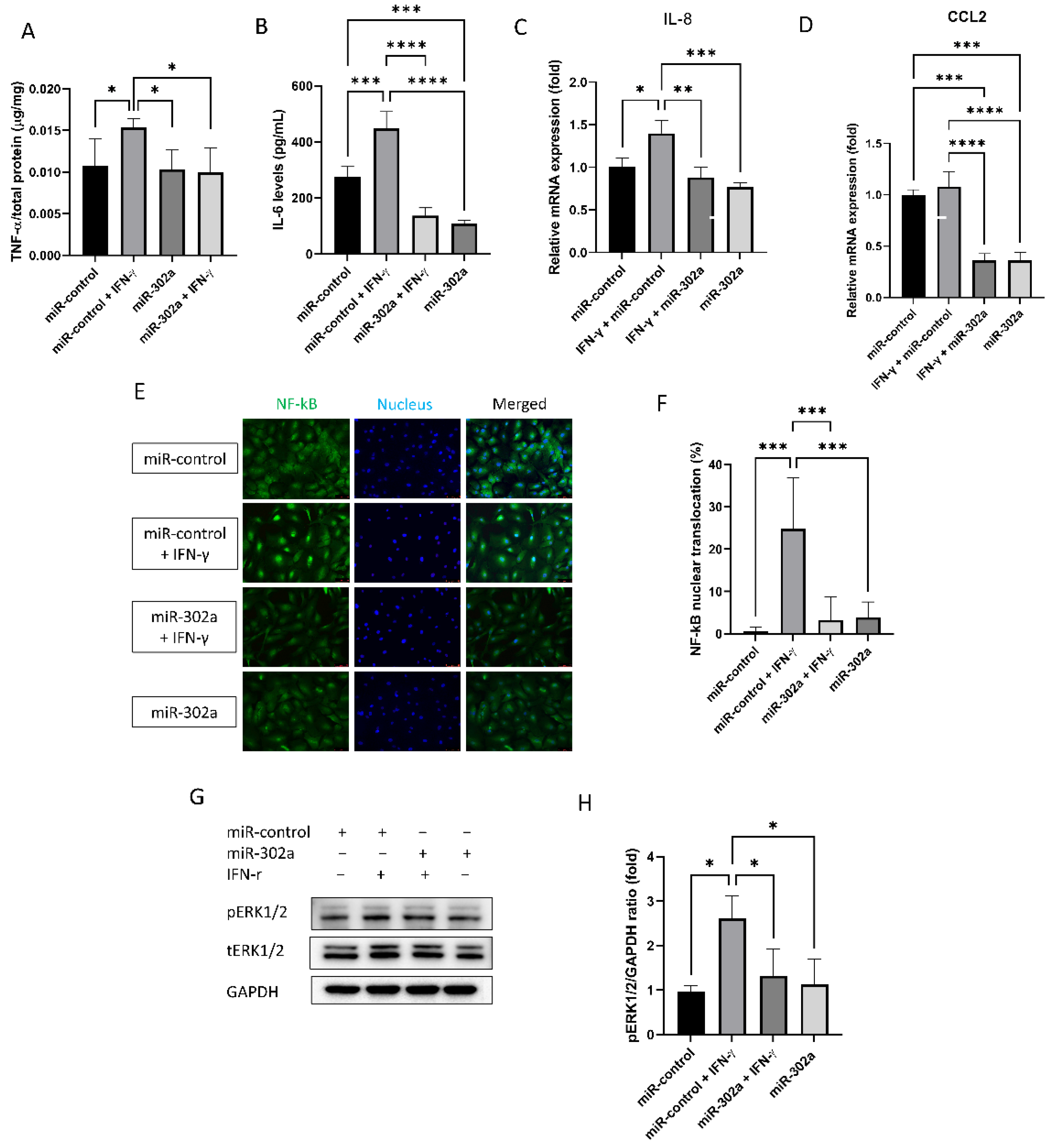 Cells 12 00036 g003 Cells 12 00036 g003
