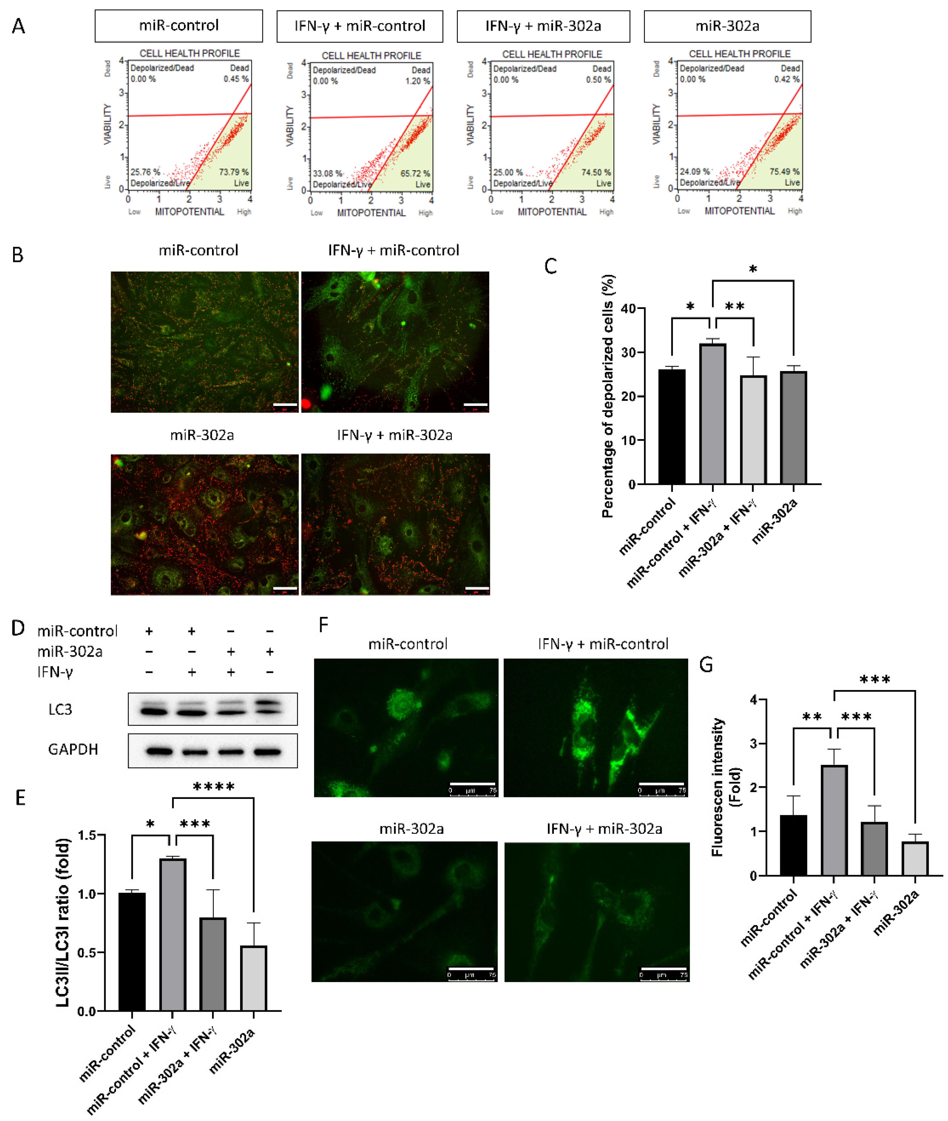 Cells 12 00036 g004 Cells 12 00036 g004