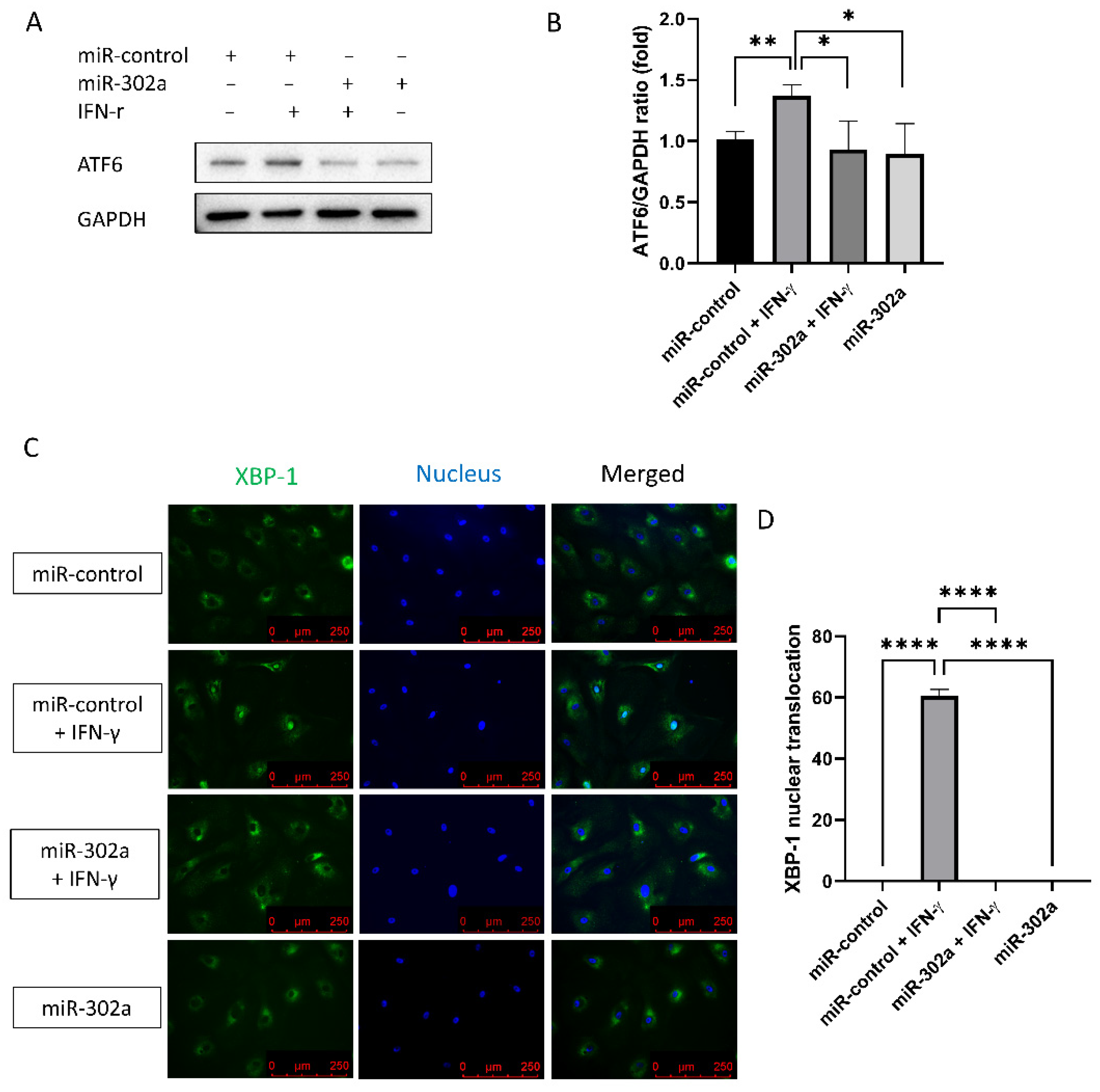 Cells 12 00036 g005 Cells 12 00036 g005