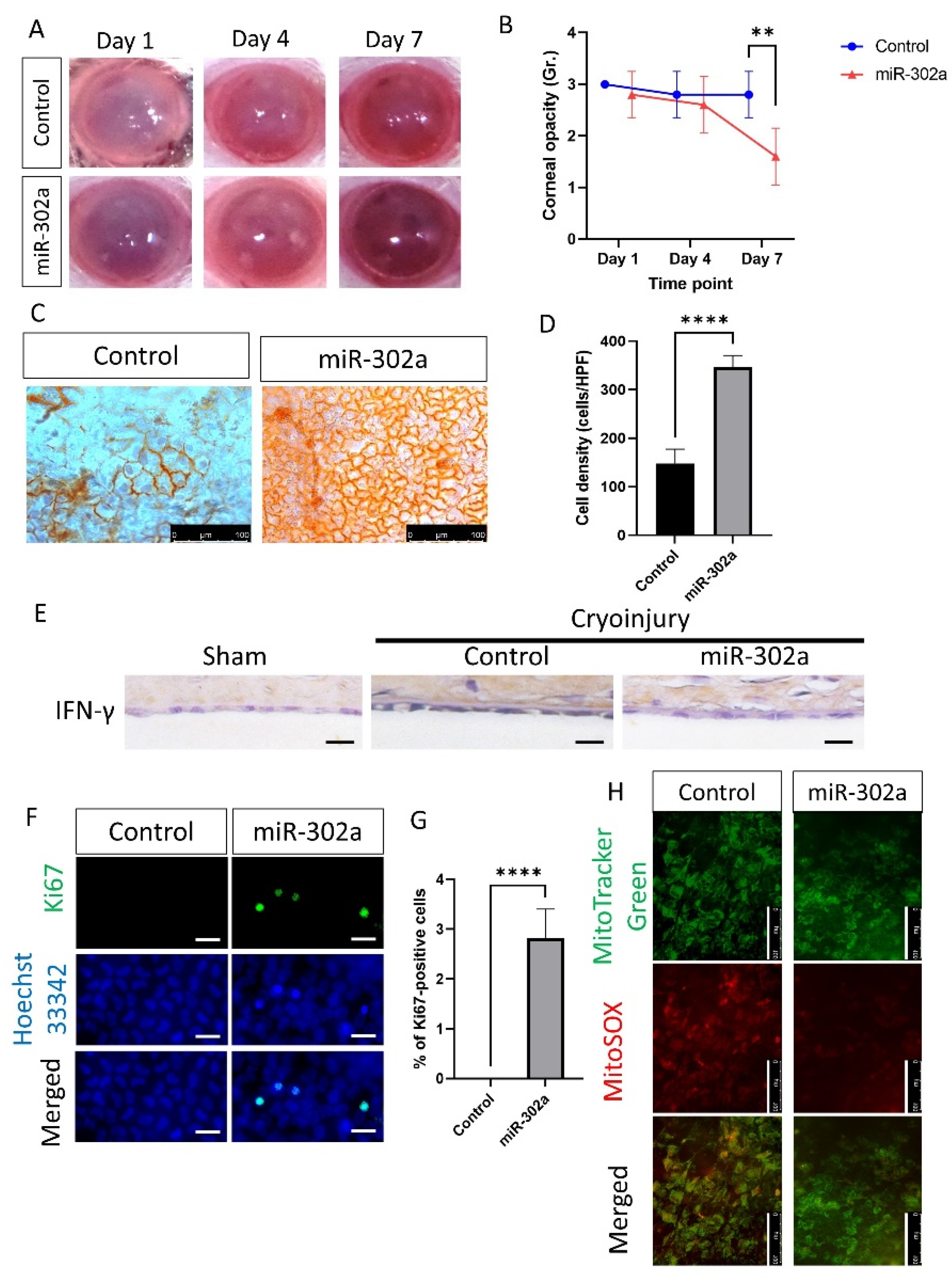 Cells 12 00036 g006 Cells 12 00036 g006