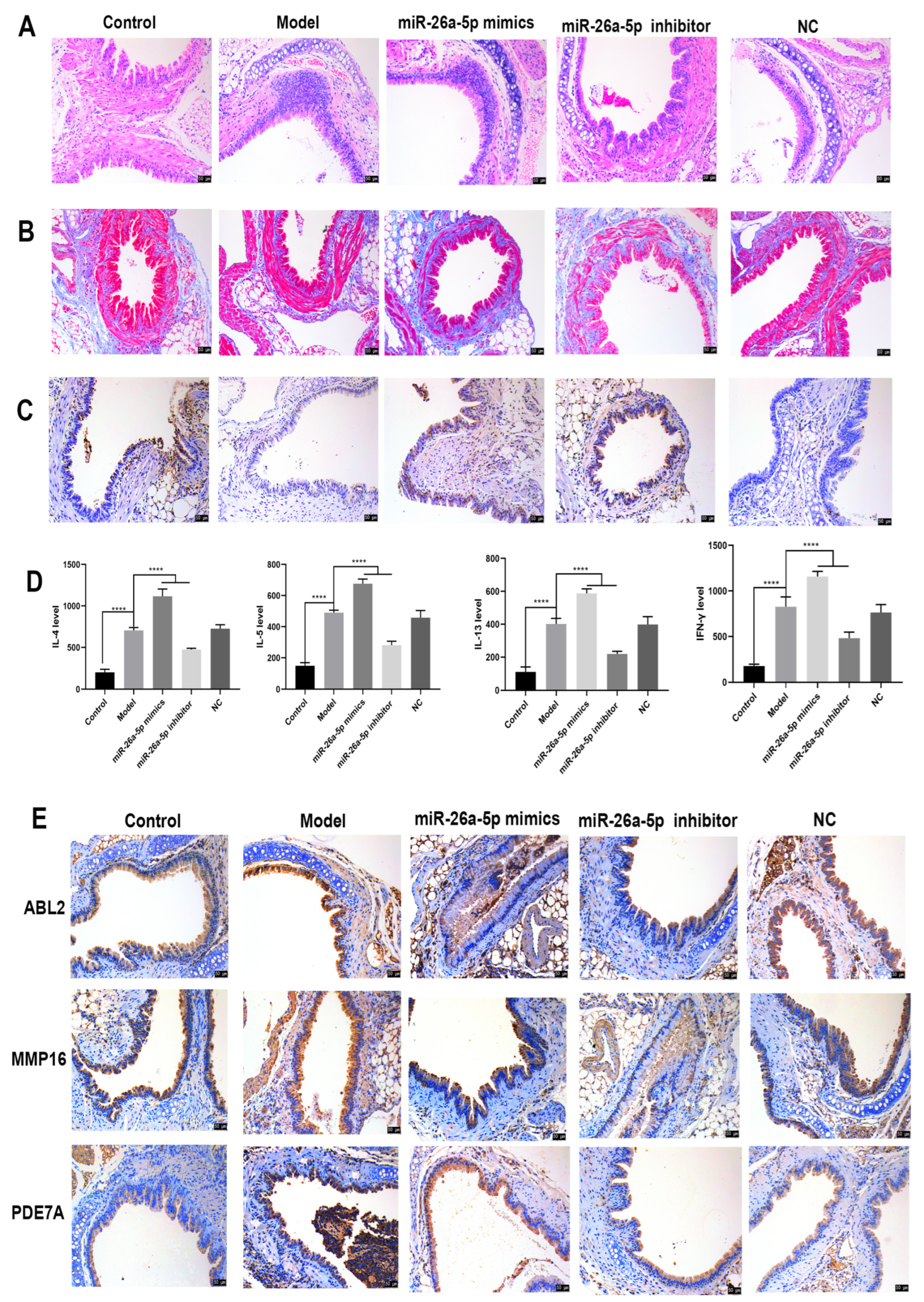 Cells 12 00038 g003 Cells 12 00038 g003