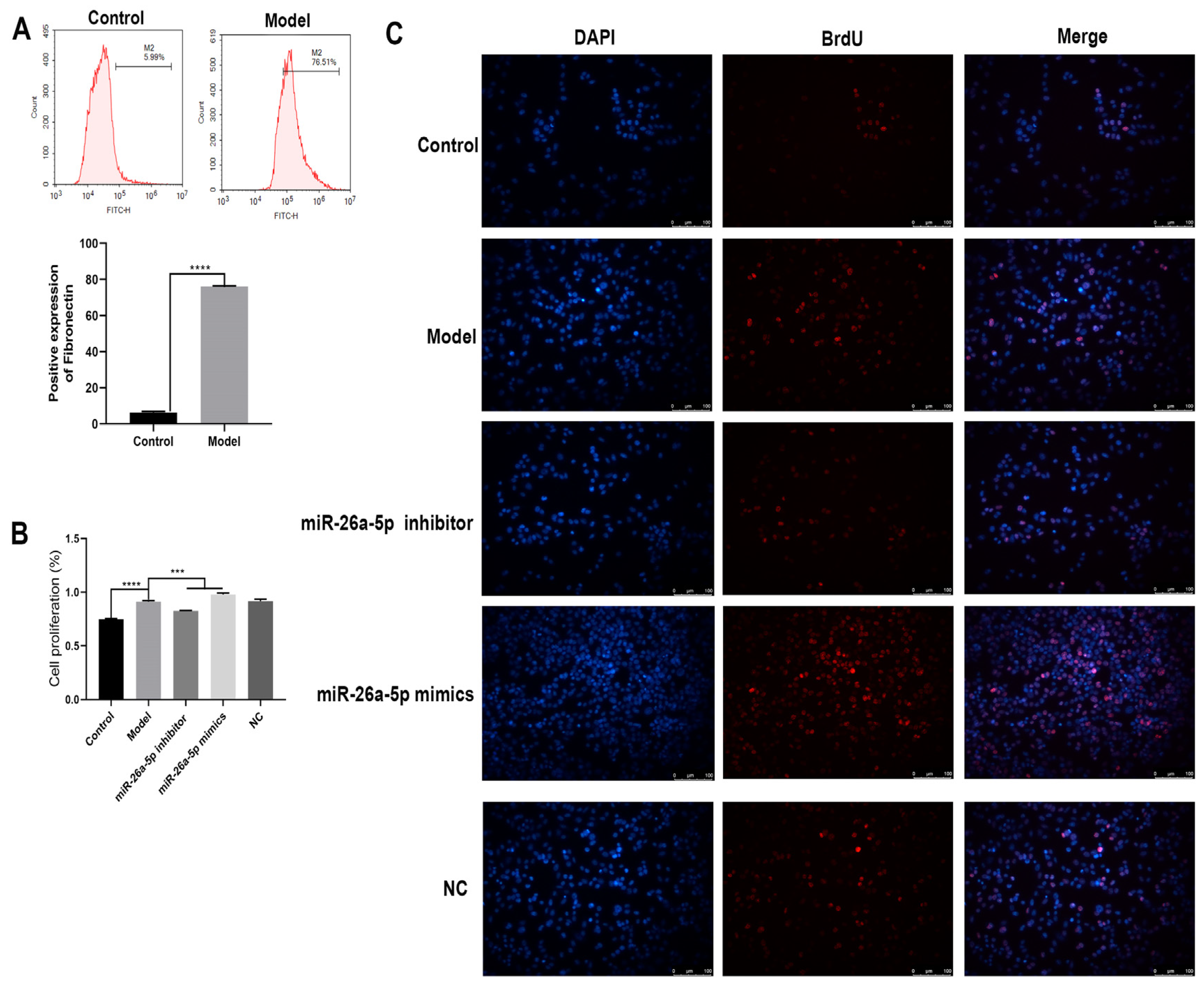 Cells 12 00038 g004 Cells 12 00038 g004