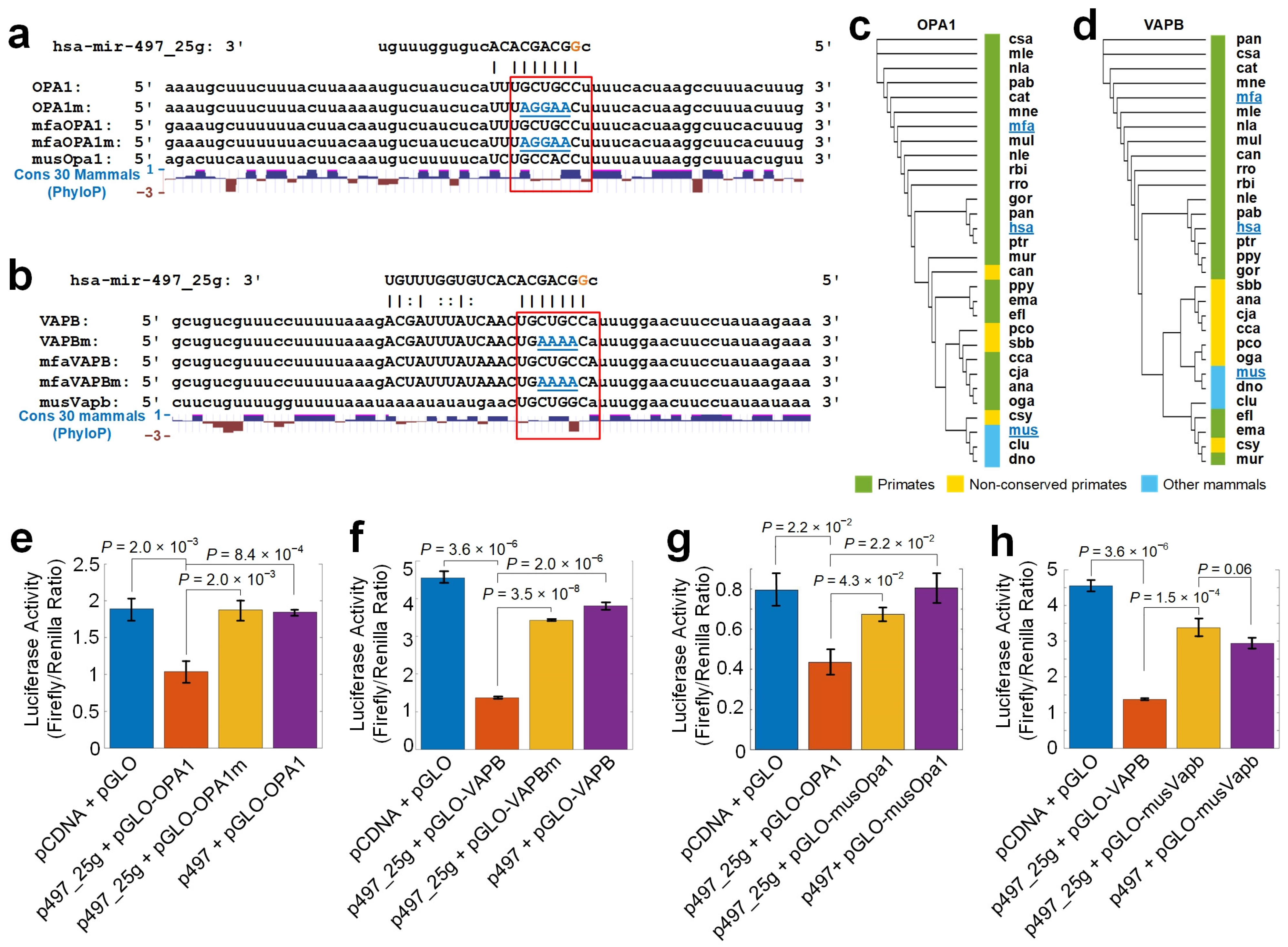 Cells 12 00075 g004 Cells 12 00075 g004