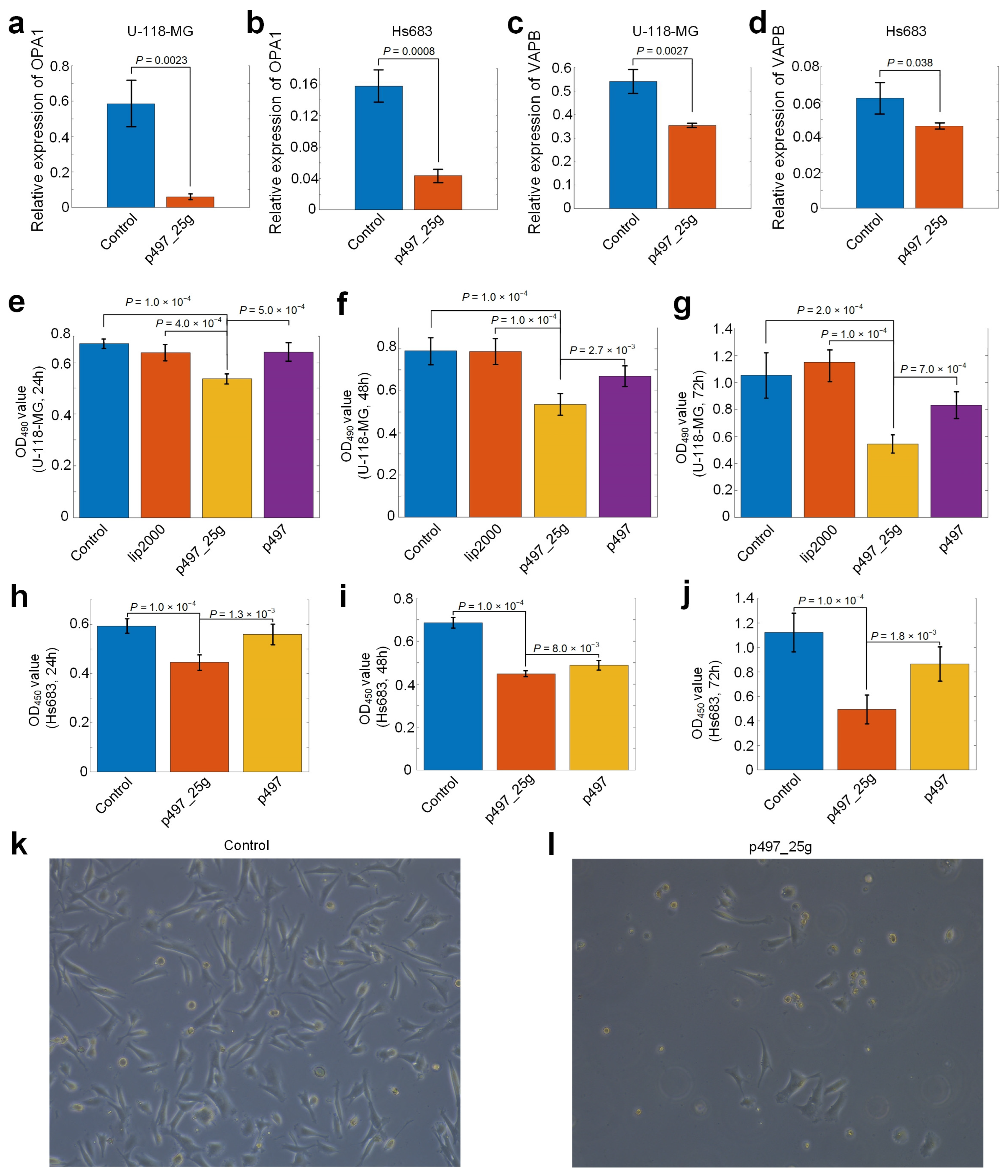Cells 12 00075 g005 Cells 12 00075 g005
