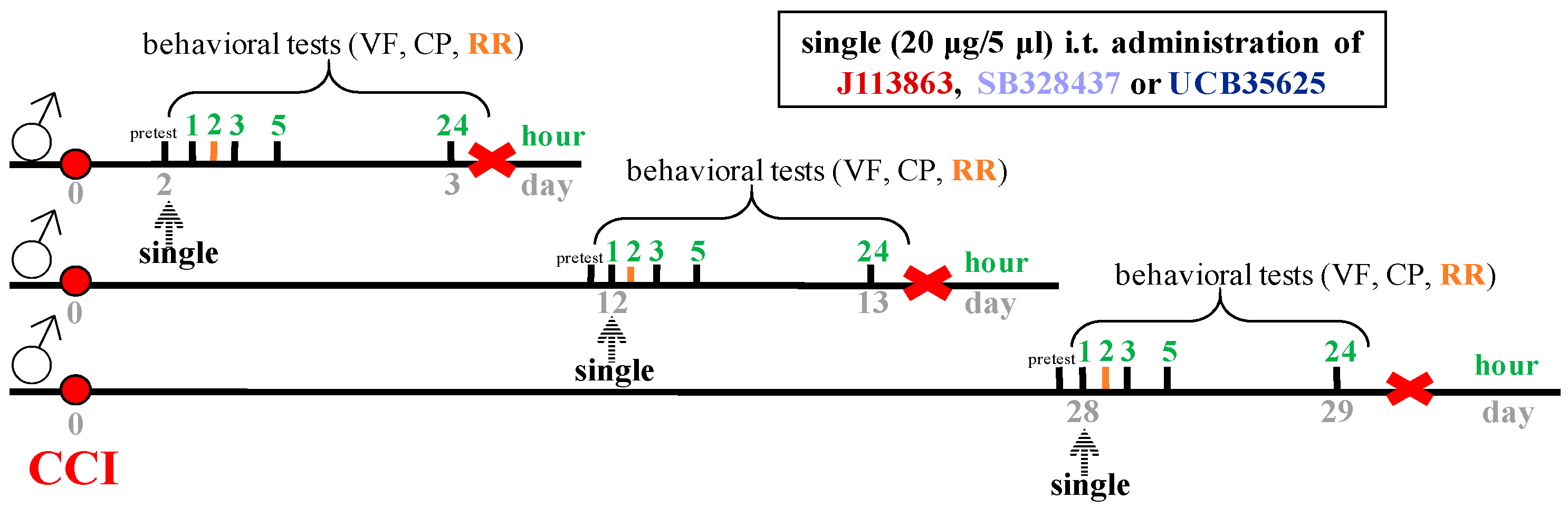 Cells 12 00098 sch004