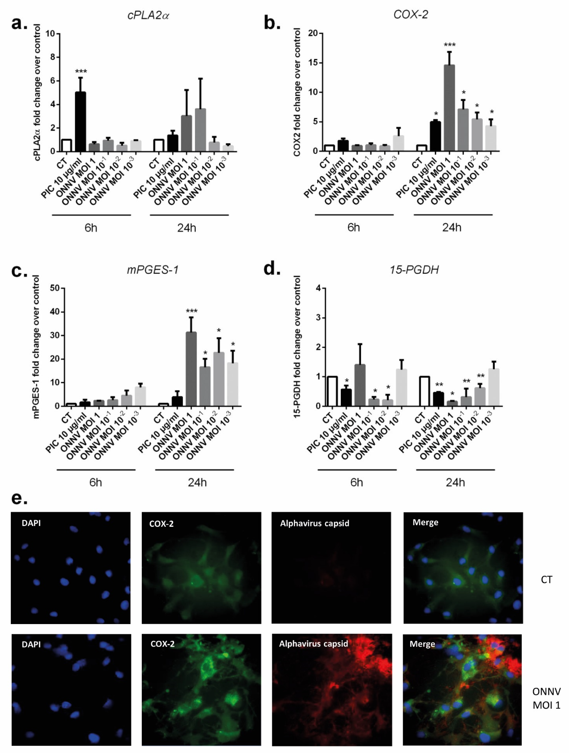 Cells 12 00100 g008