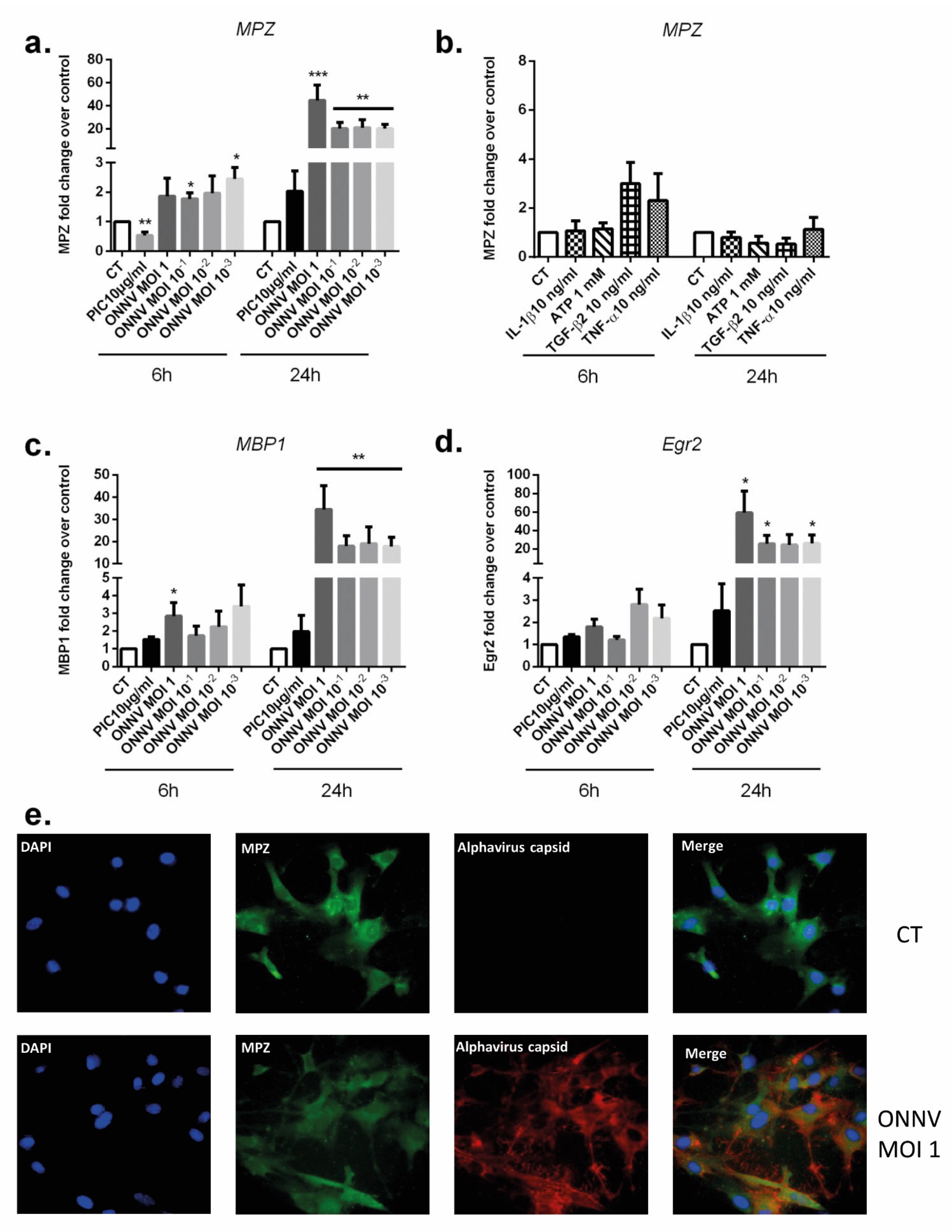Cells 12 00100 g009