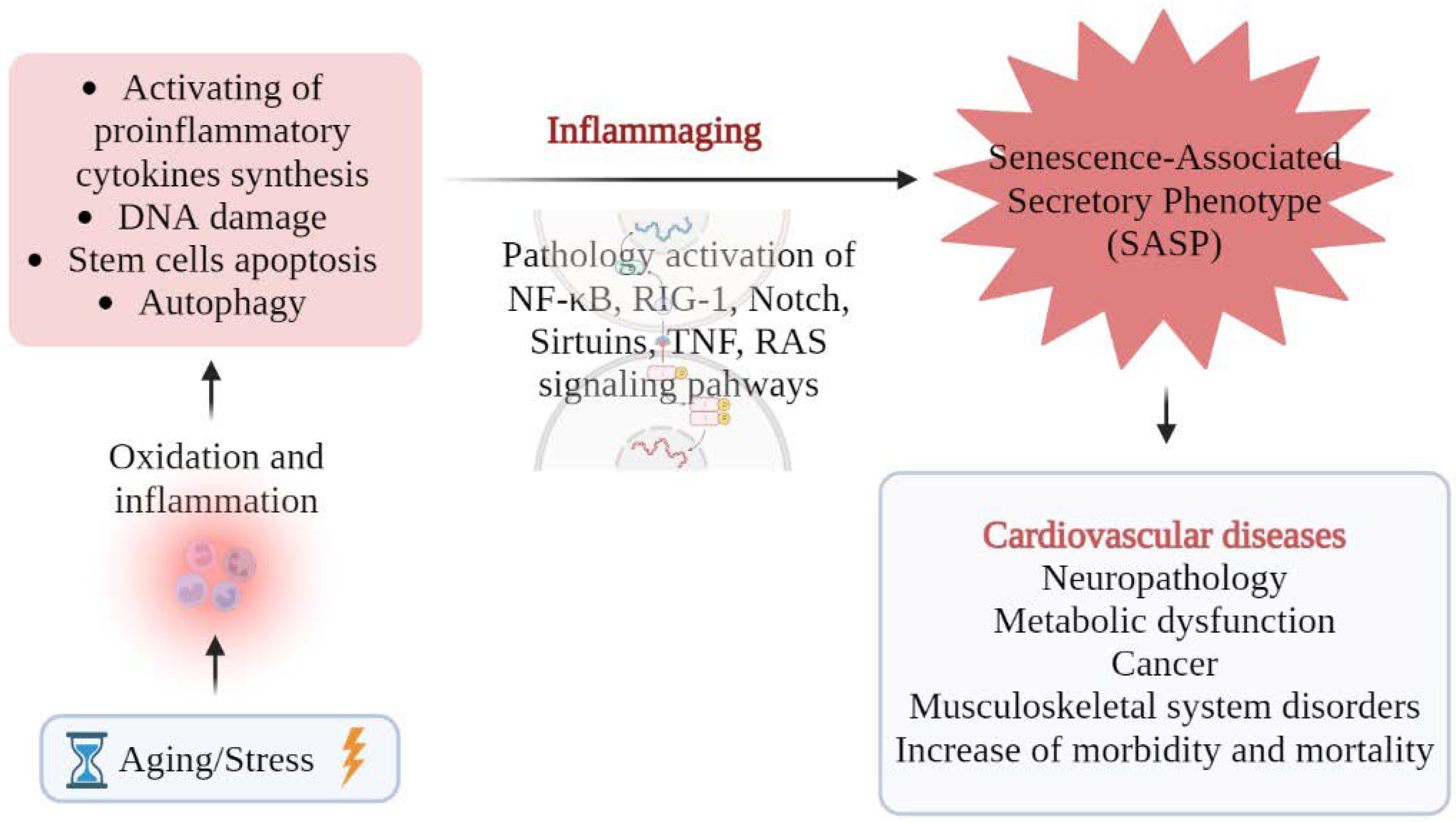 Cells 12 00106 g001 Cells 12 00106 g001