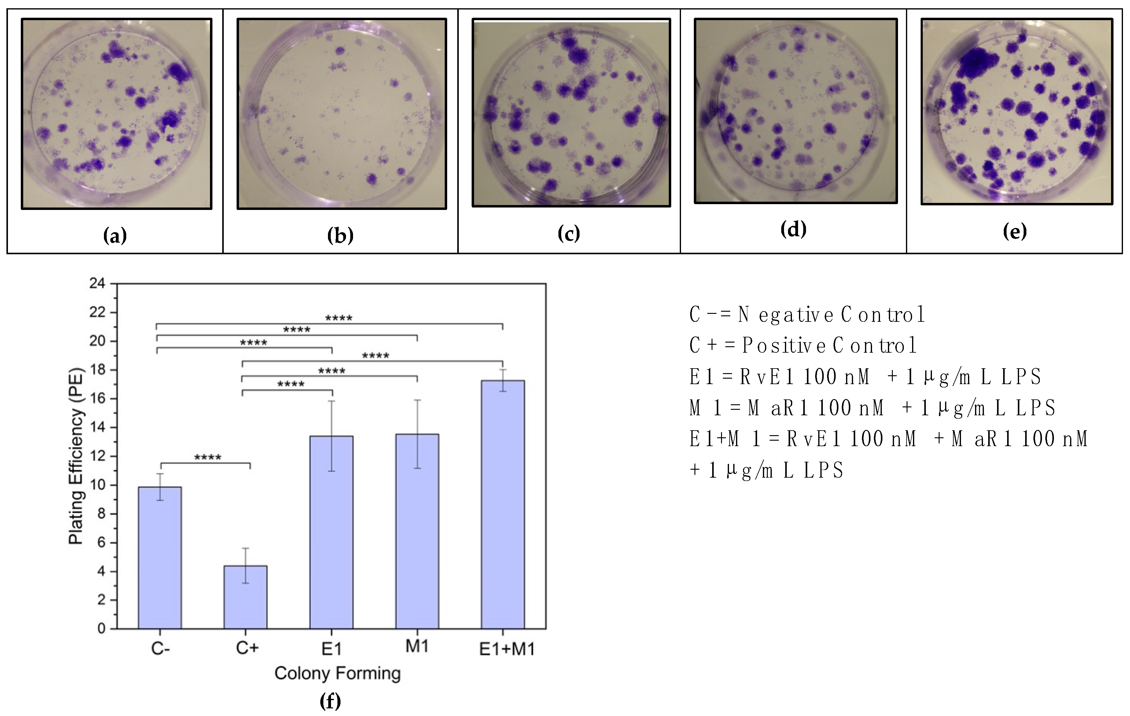 Cells 12 00122 g004