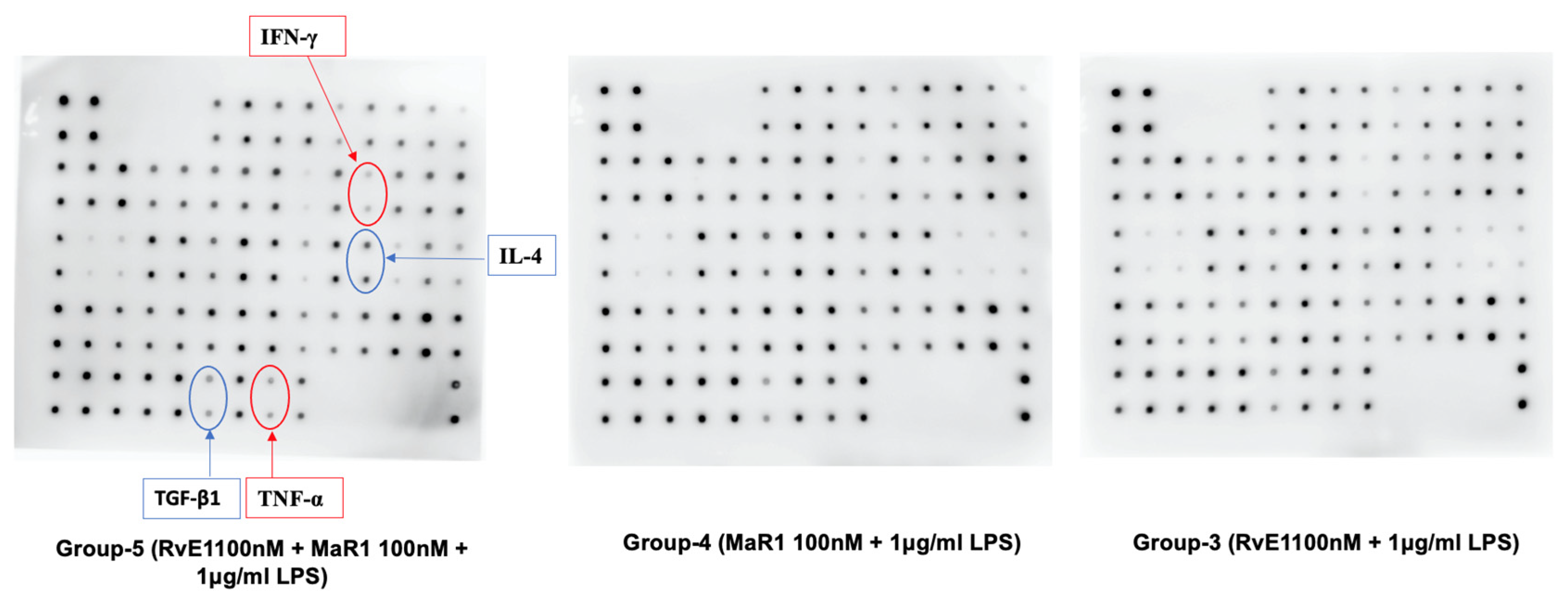 Cells 12 00122 g008