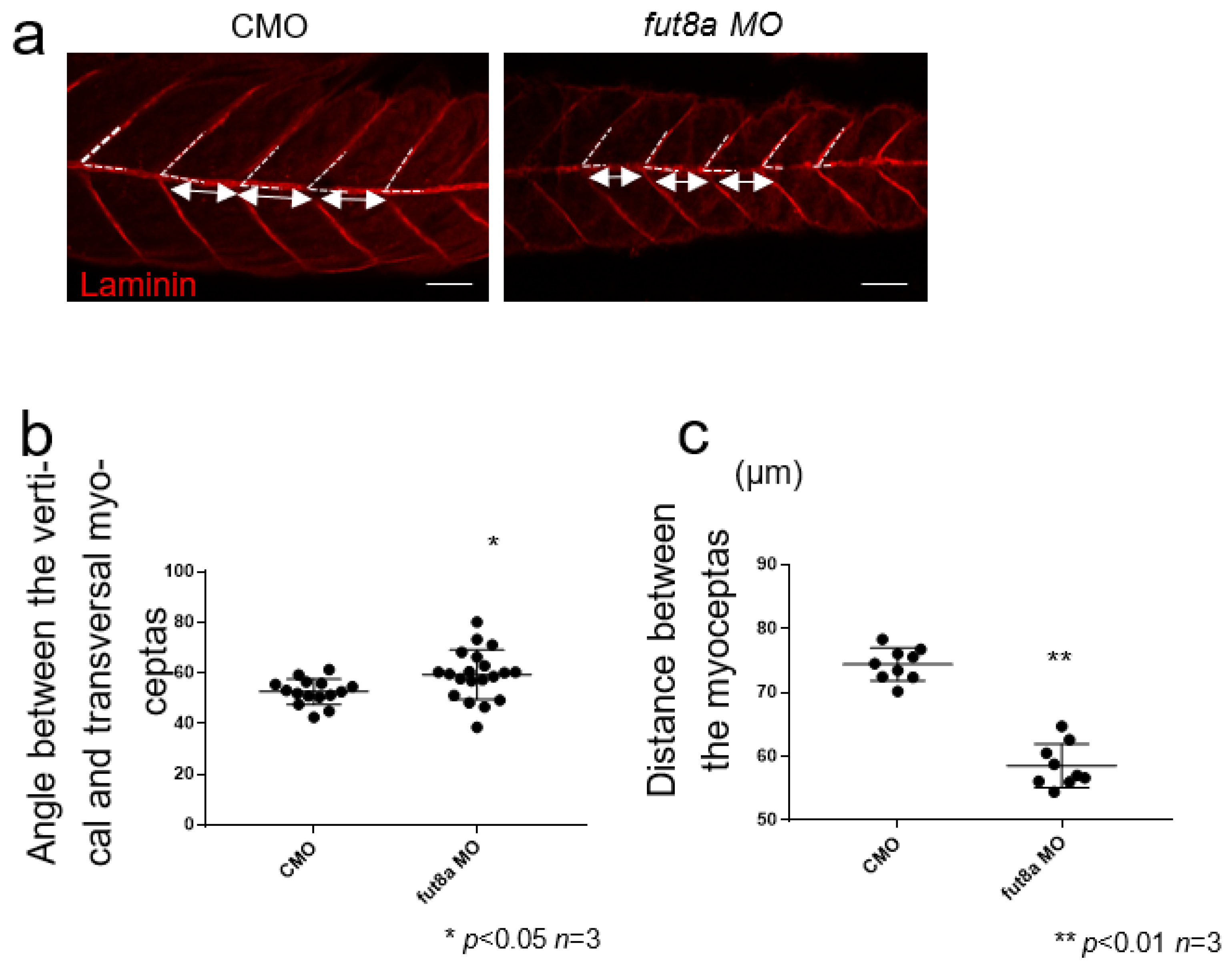 Cells 12 00144 g003 Cells 12 00144 g003