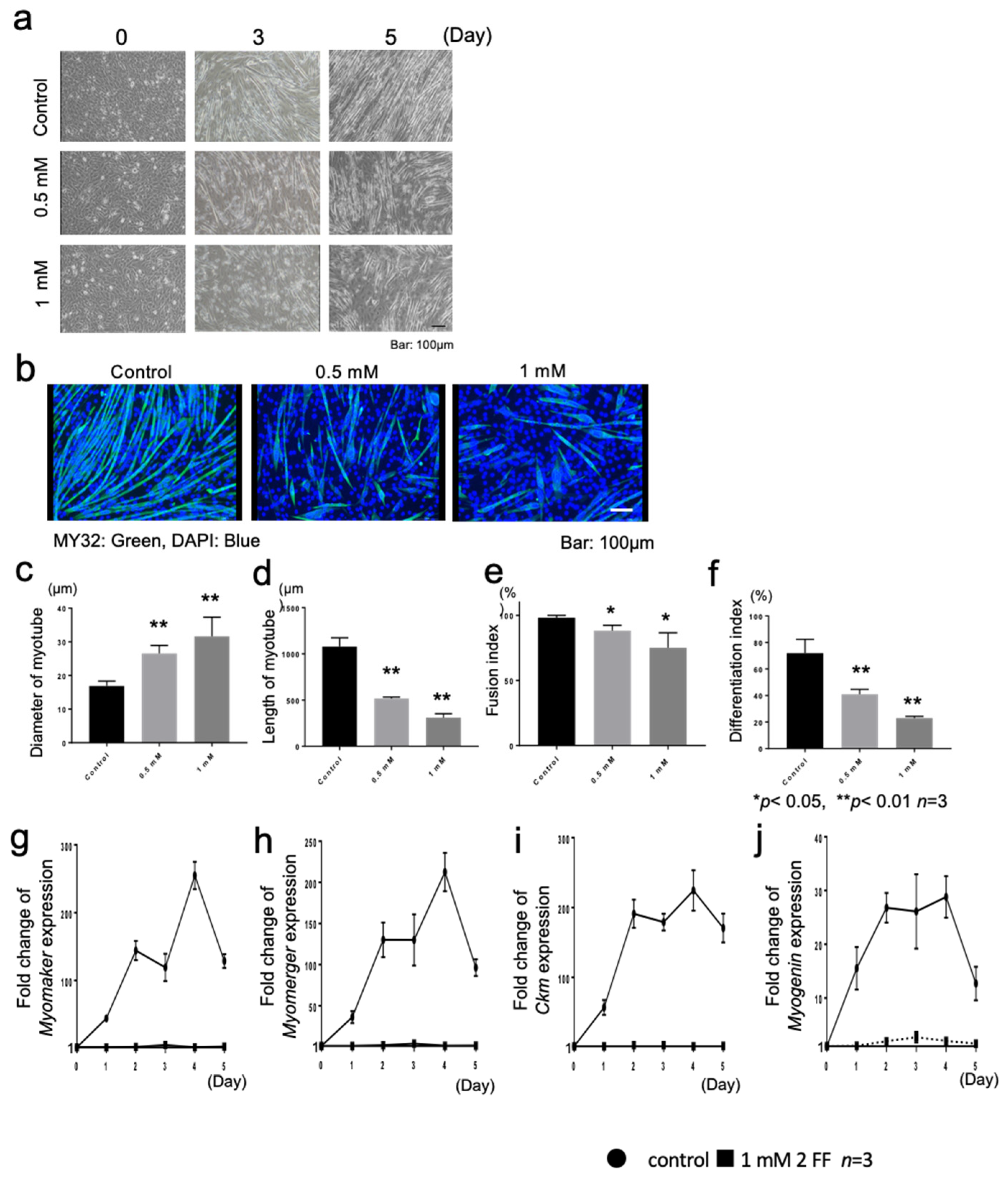 Cells 12 00144 g007 Cells 12 00144 g007