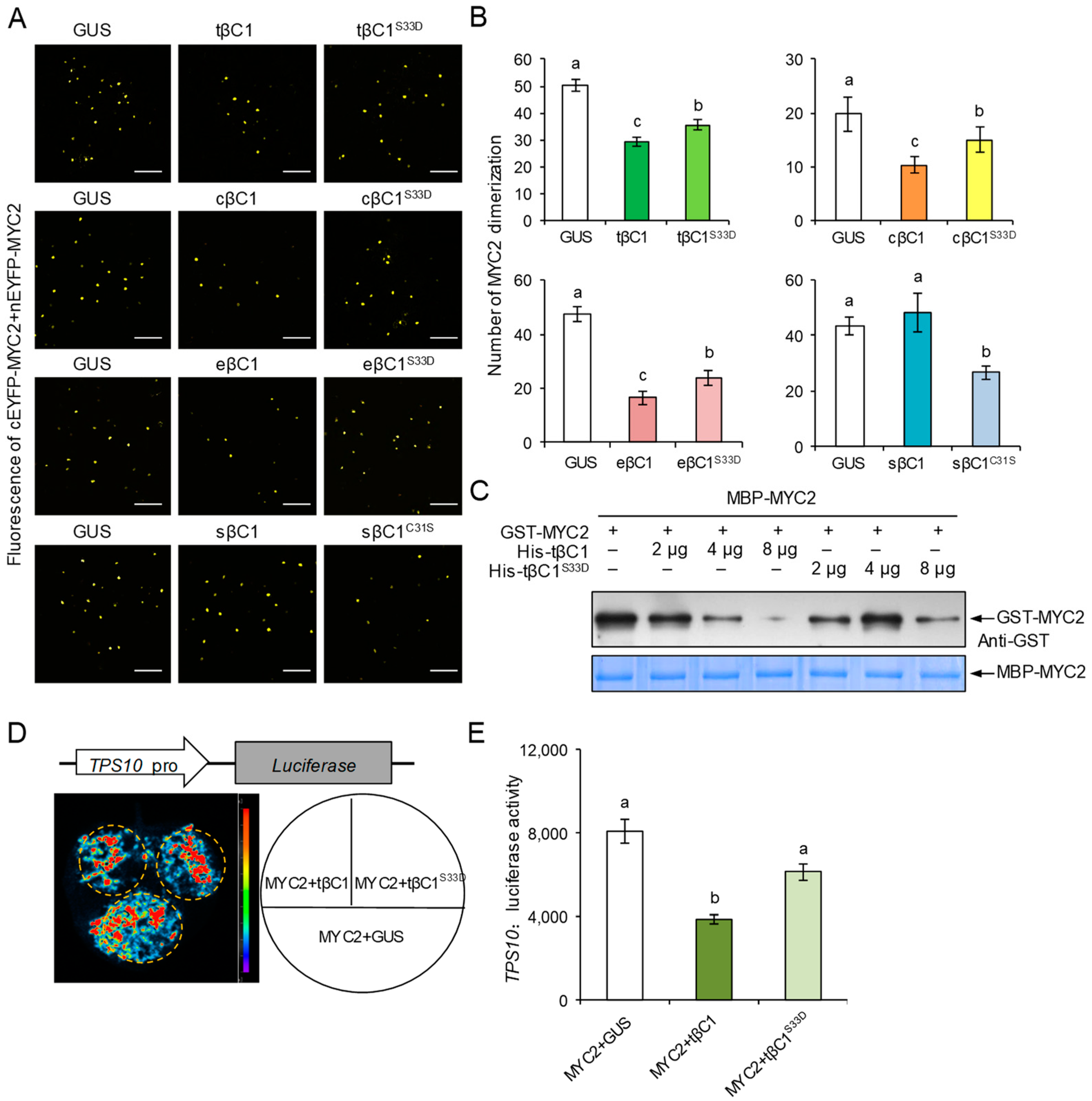 Cells 12 00149 g003 Cells 12 00149 g003
