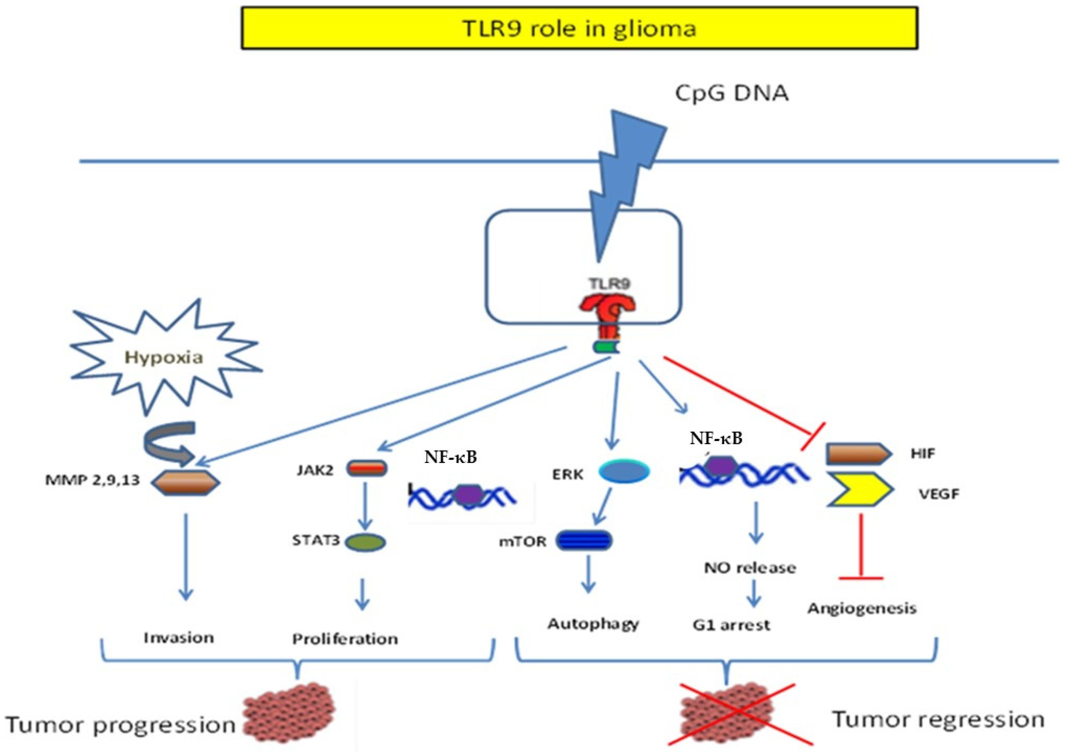 Cells 12 00152 g003 Cells 12 00152 g003