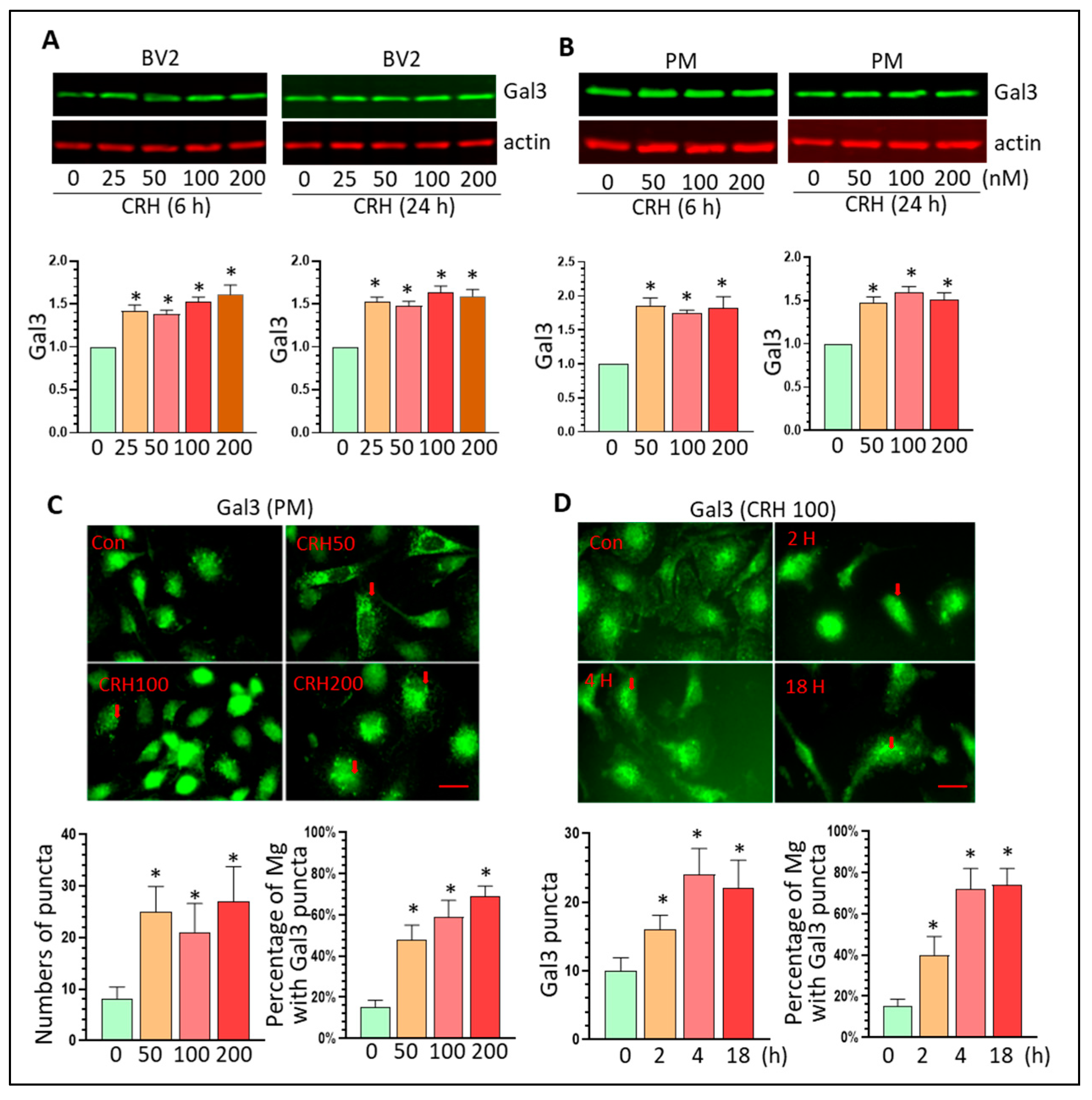 Cells 12 00160 g004 Cells 12 00160 g004