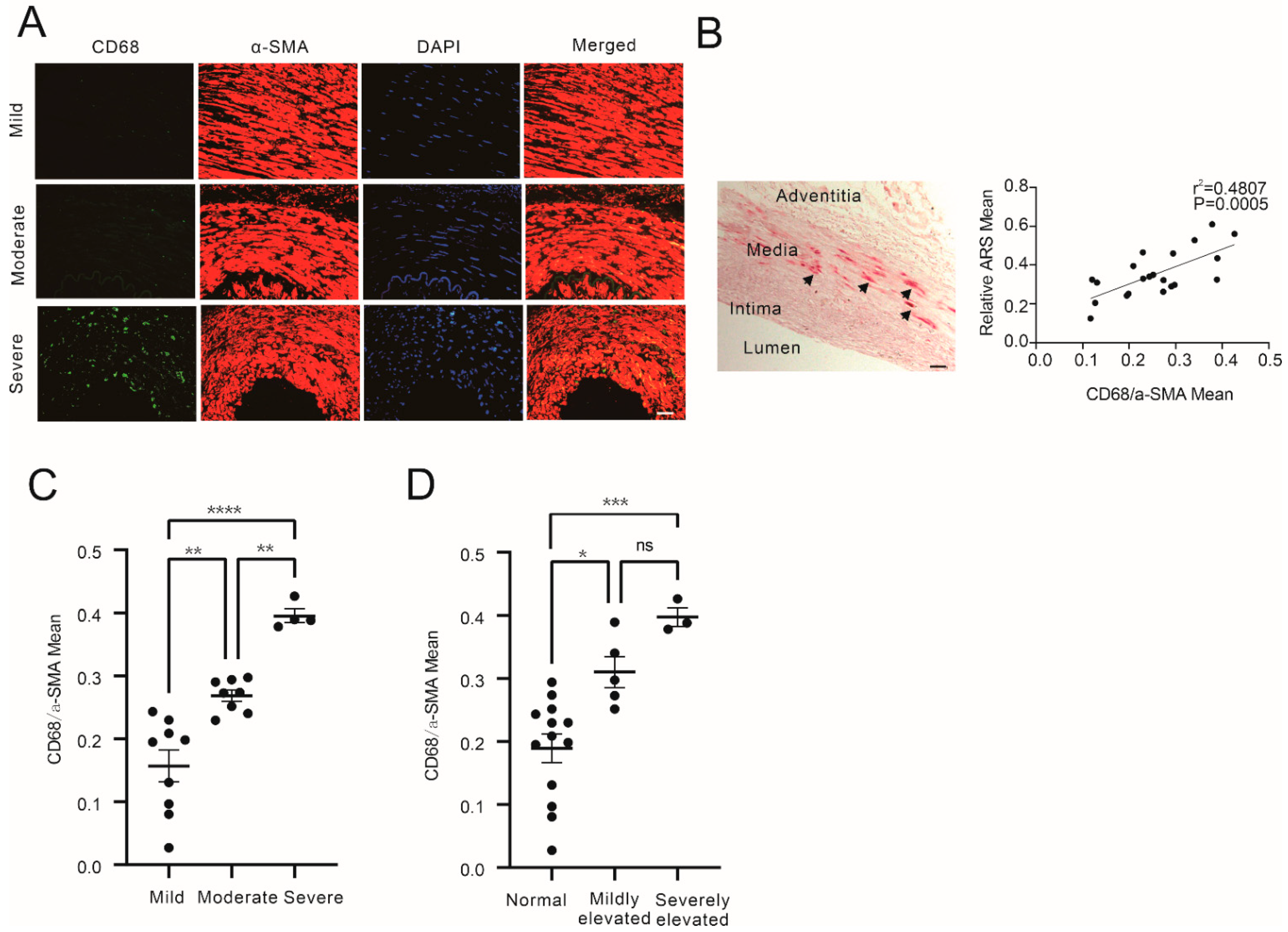 Cells 12 00161 g001 Cells 12 00161 g001