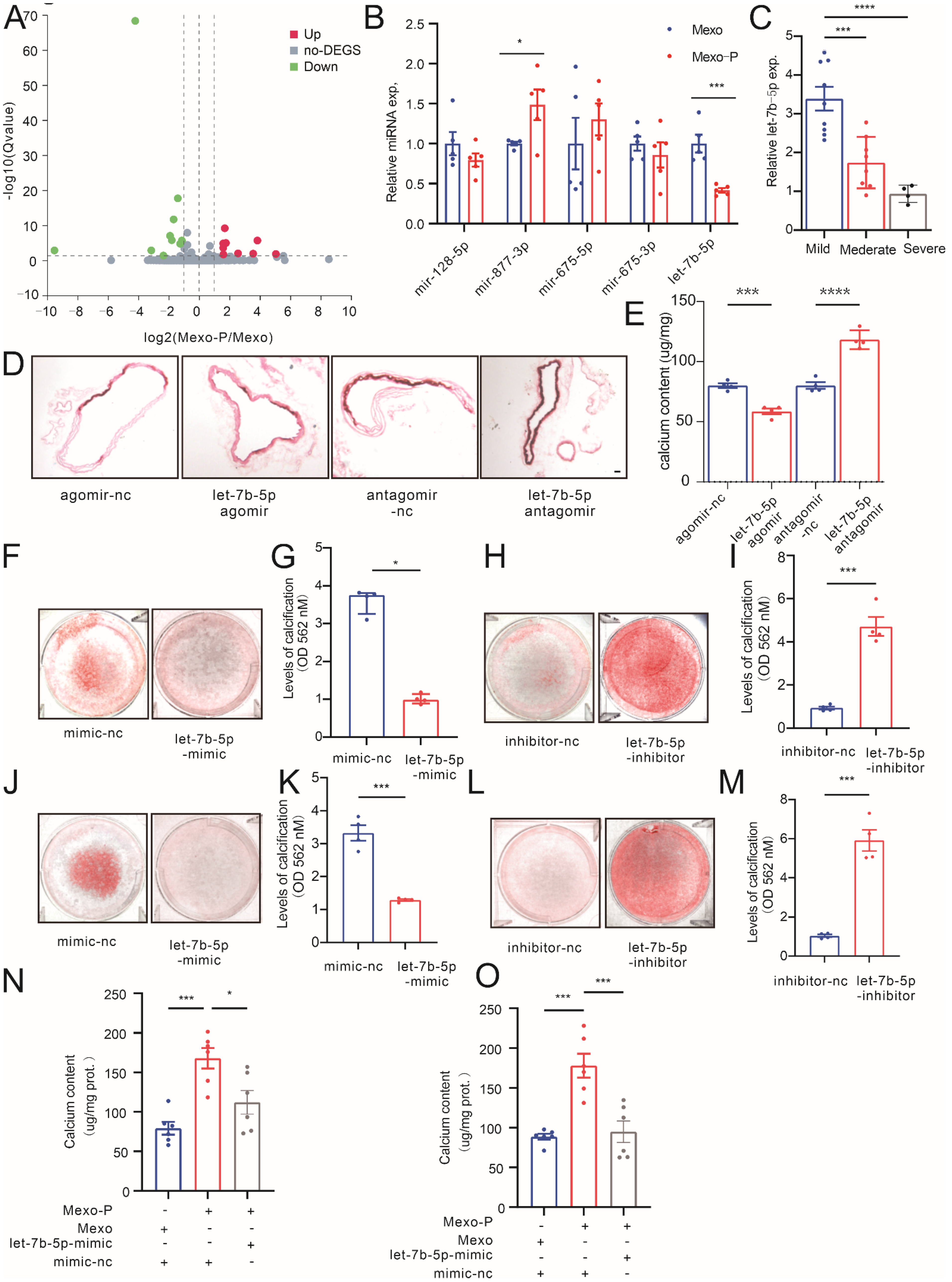 Cells 12 00161 g003 Cells 12 00161 g003