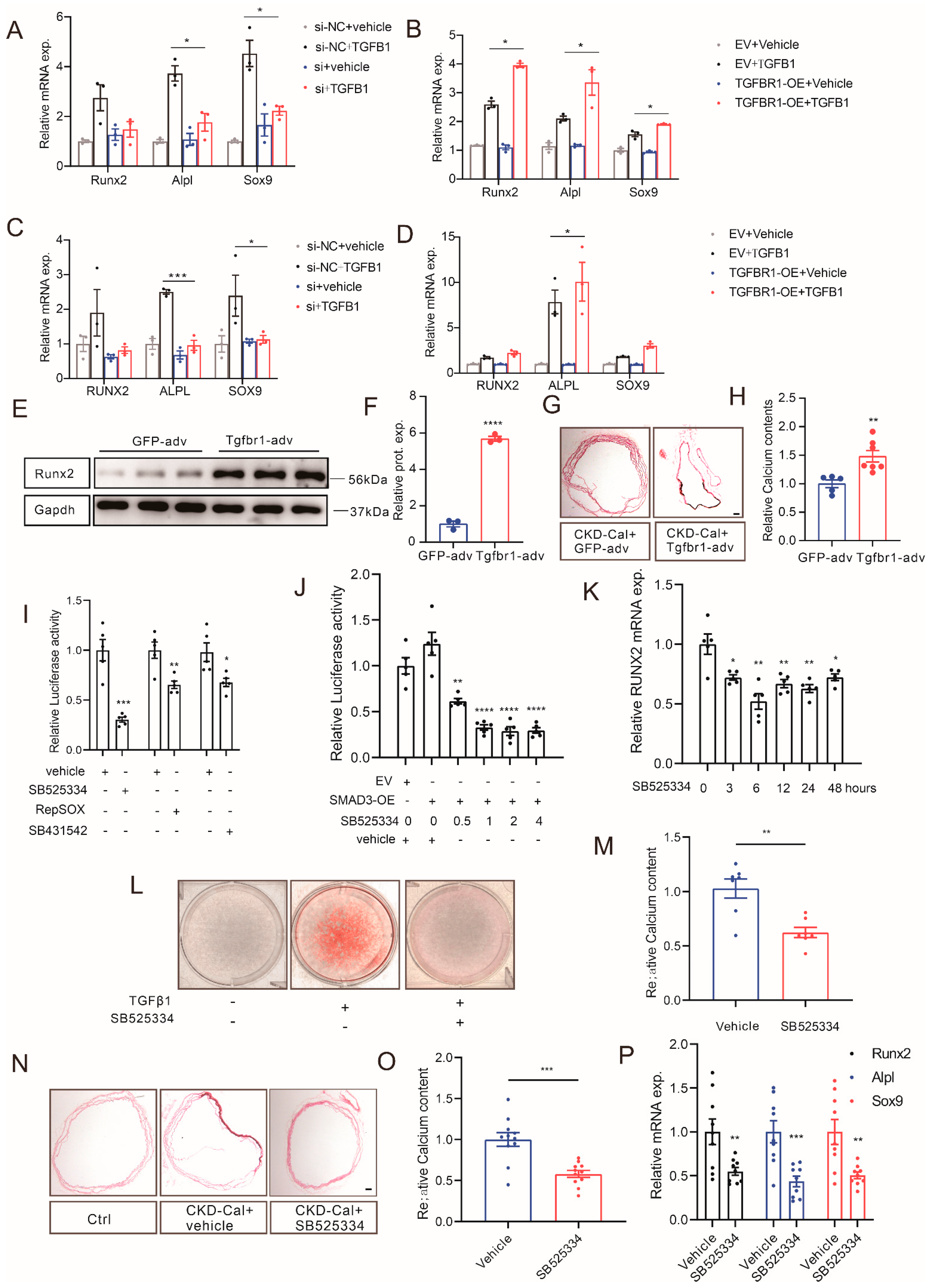 Cells 12 00161 g006 Cells 12 00161 g006