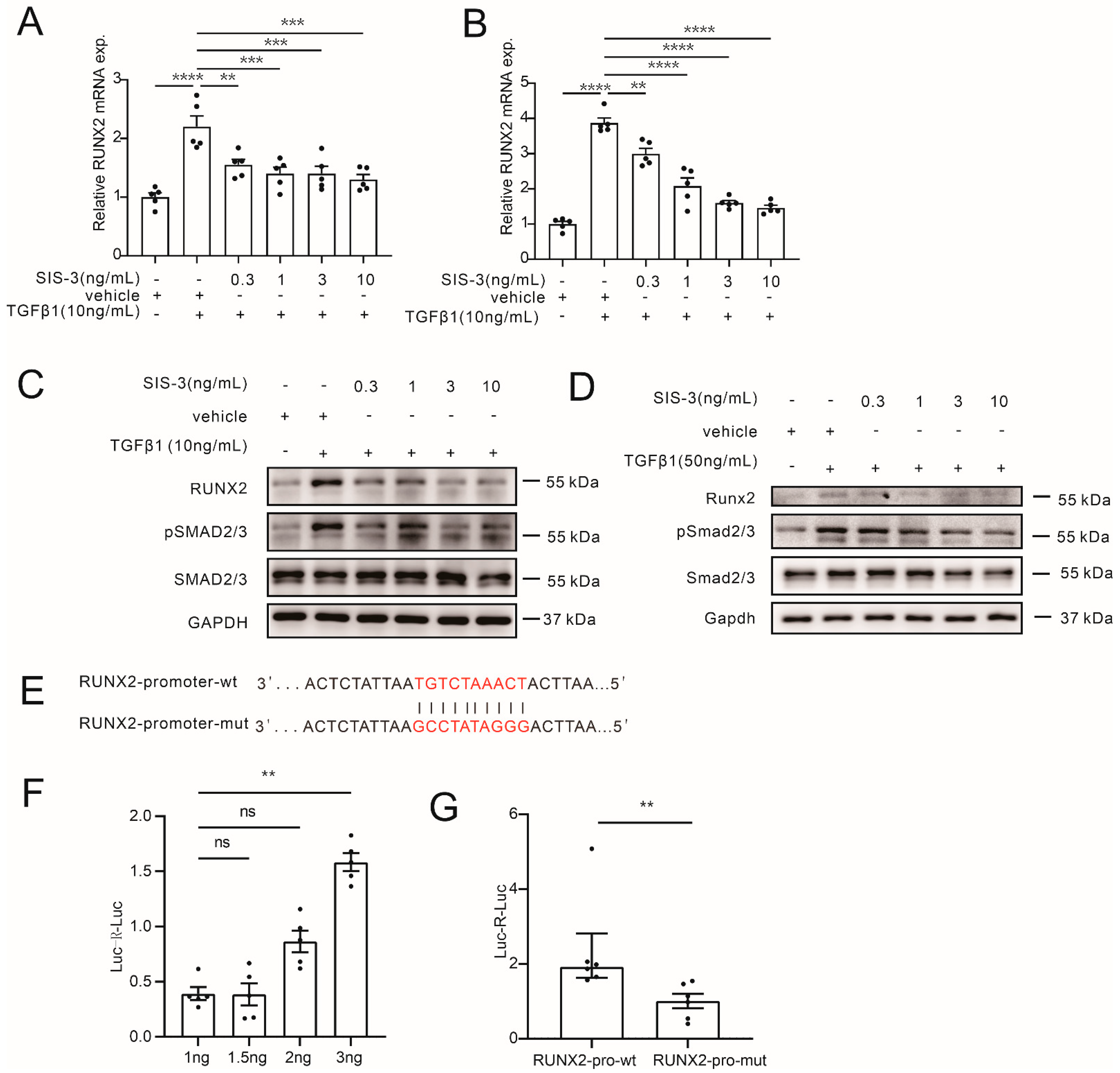 Cells 12 00161 g007 Cells 12 00161 g007