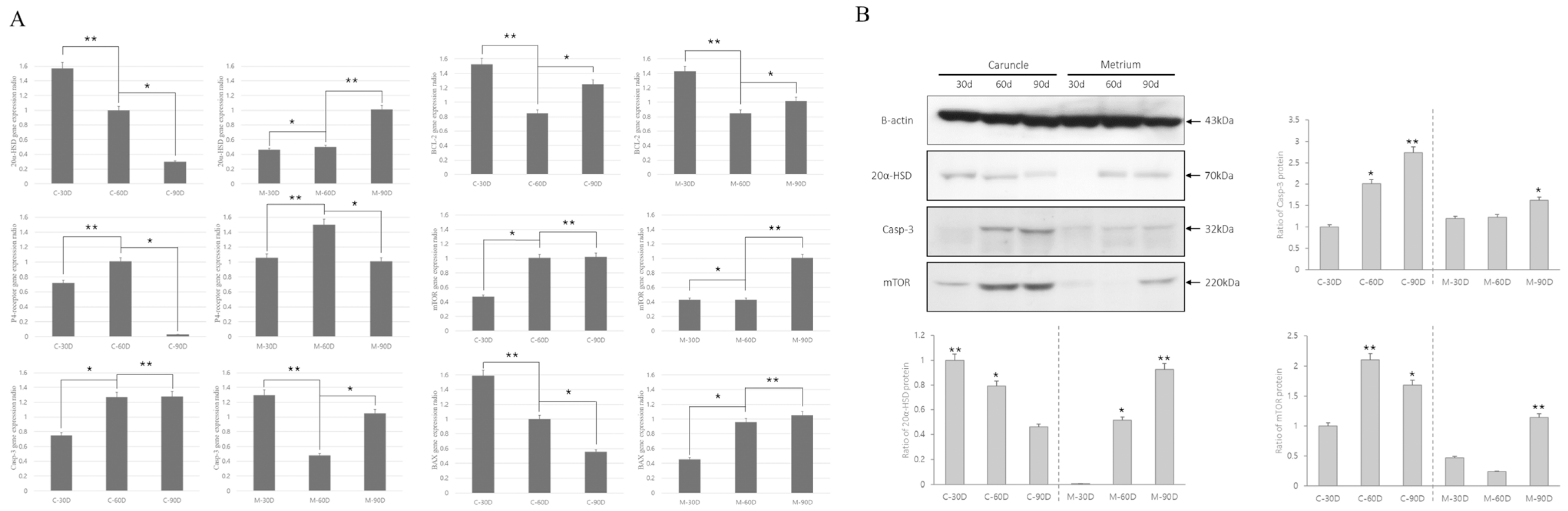 Cells 12 00162 g002 Cells 12 00162 g002