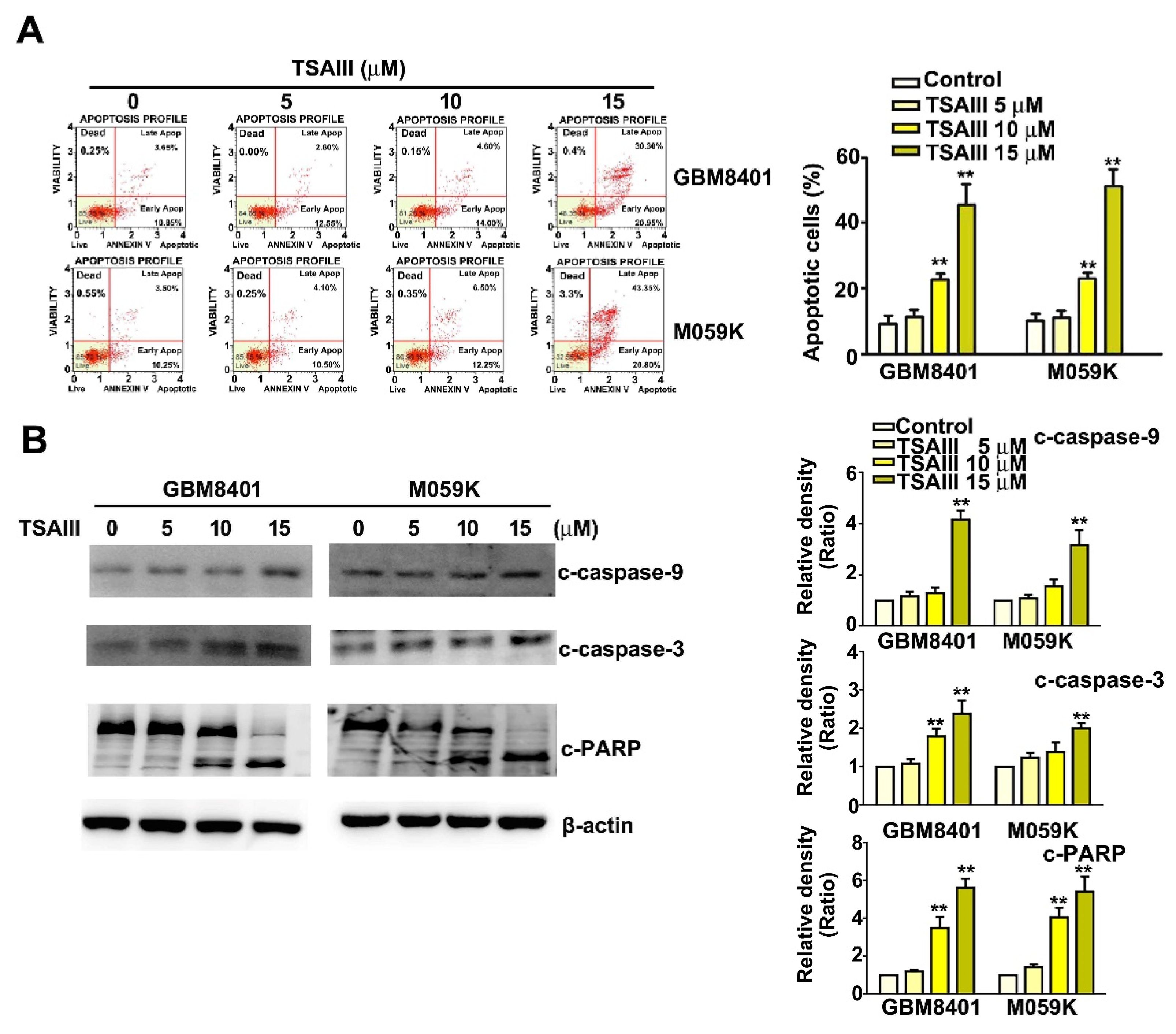 Cells 12 00168 g002 Cells 12 00168 g002