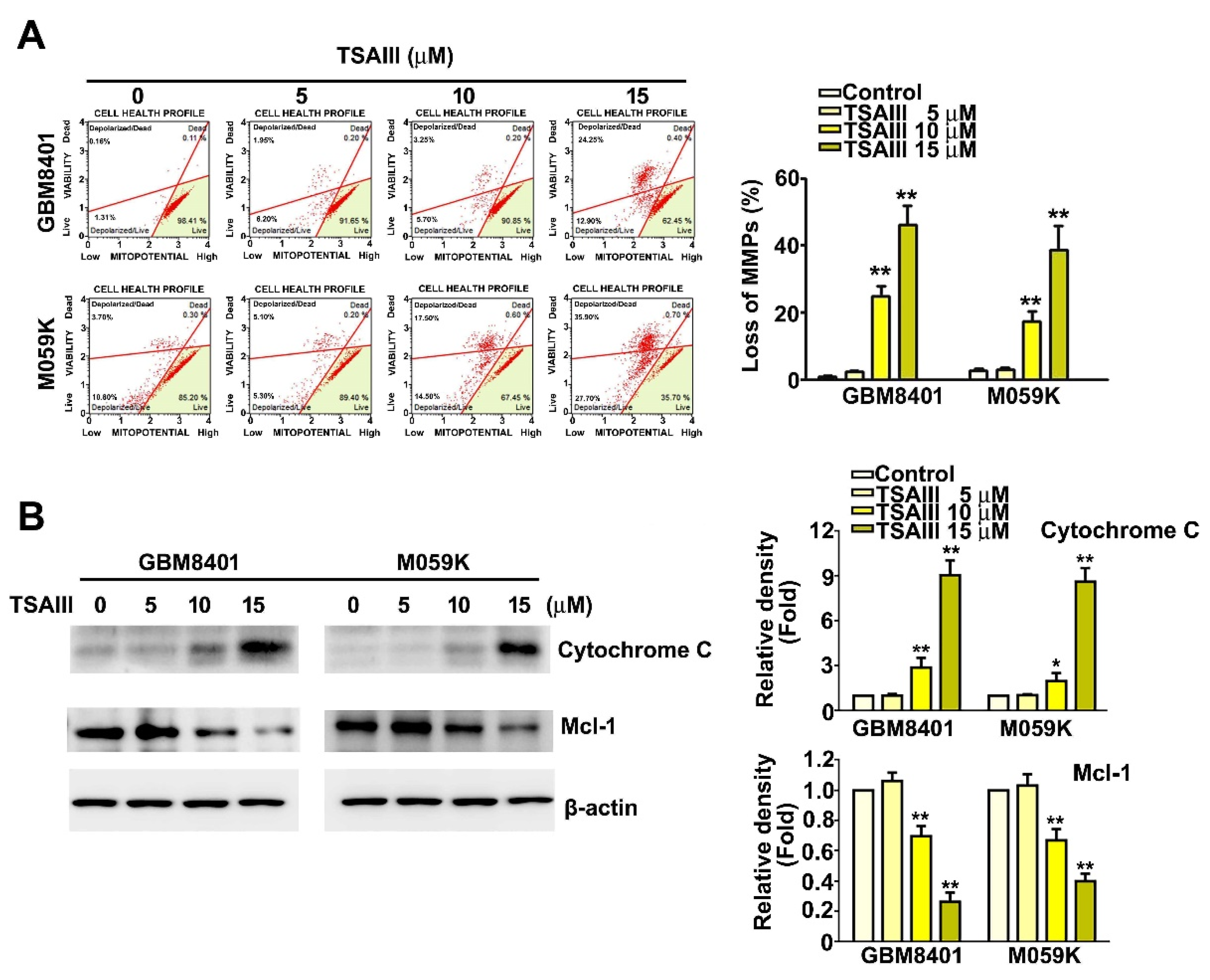 Cells 12 00168 g003 Cells 12 00168 g003