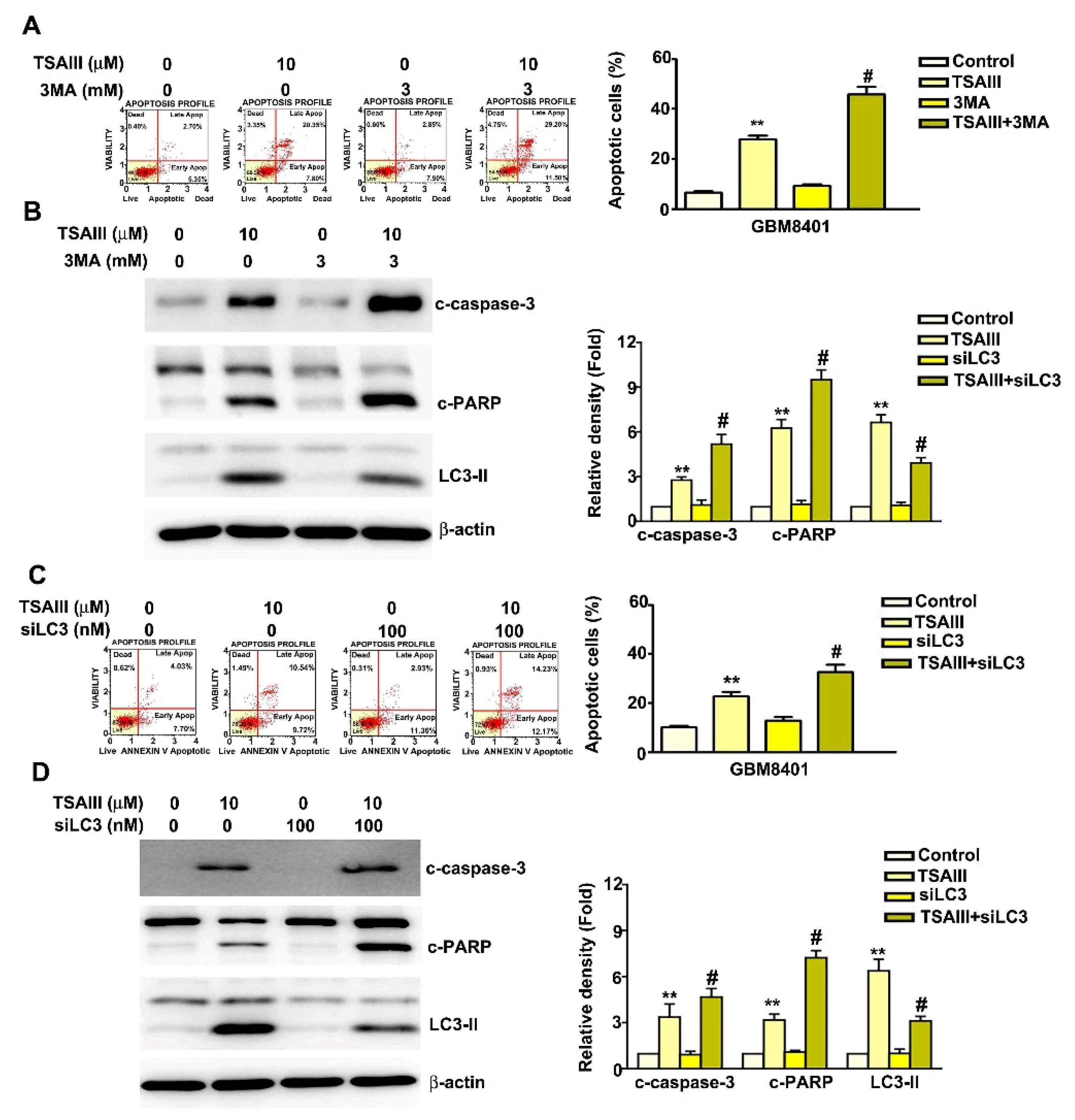 Cells 12 00168 g005 Cells 12 00168 g005