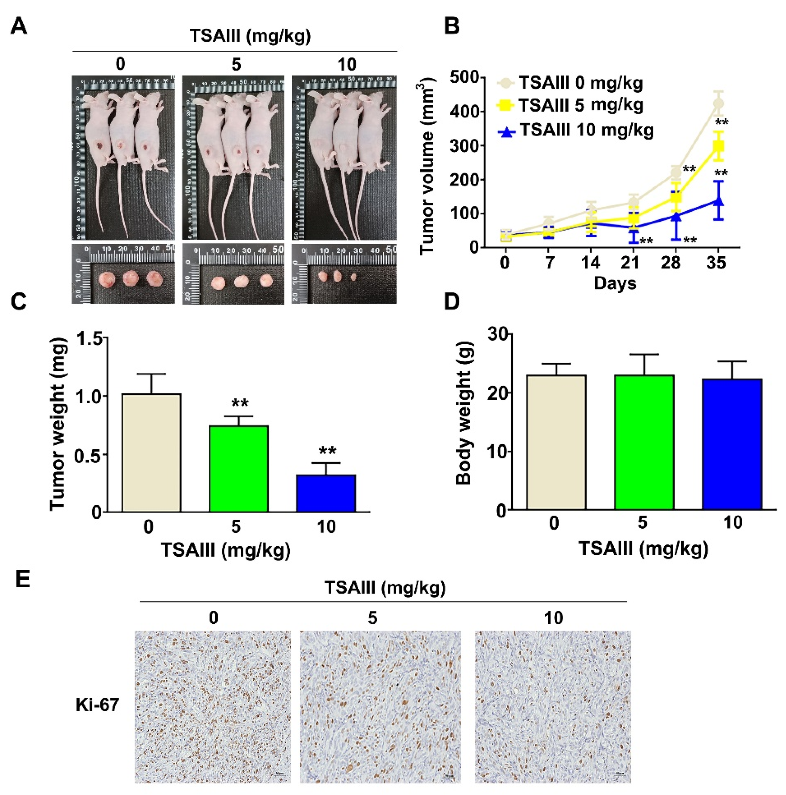 Cells 12 00168 g006 Cells 12 00168 g006