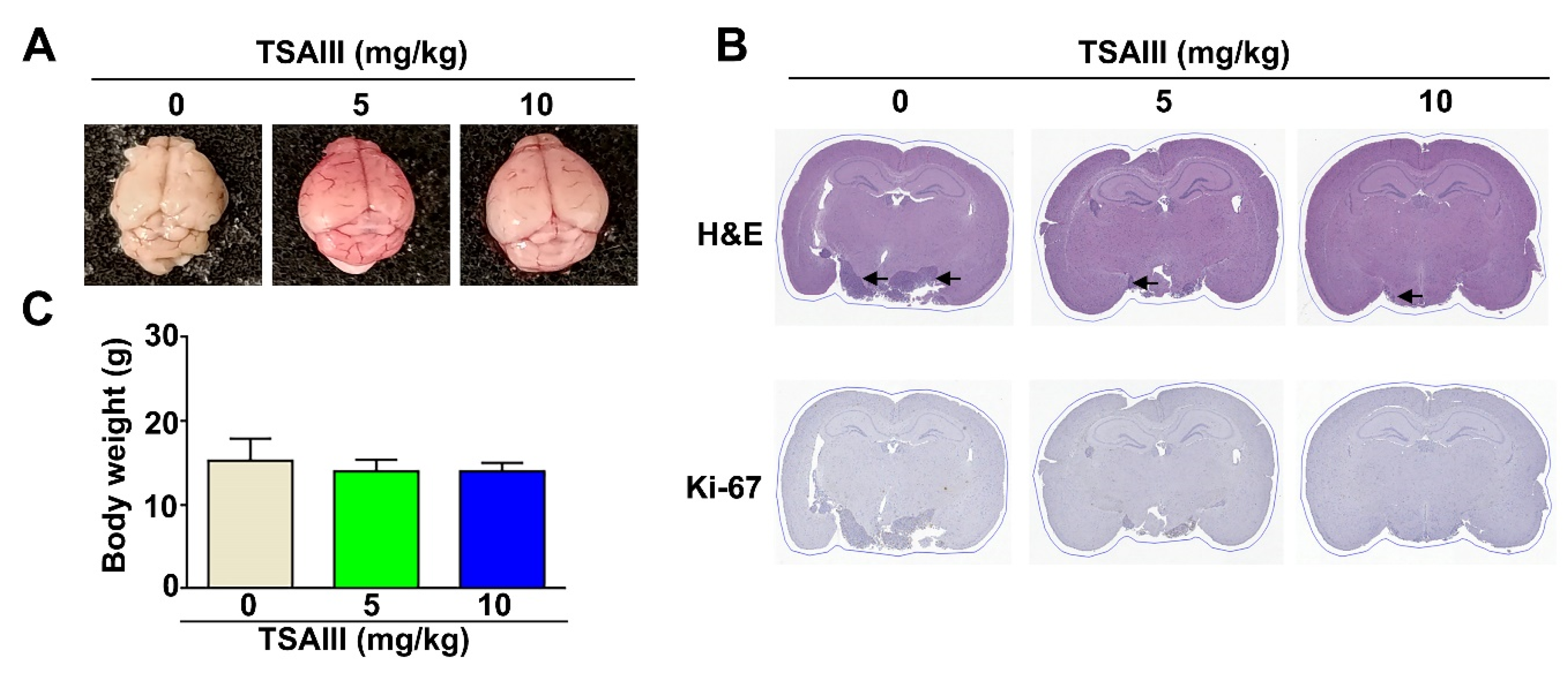 Cells 12 00168 g007 Cells 12 00168 g007