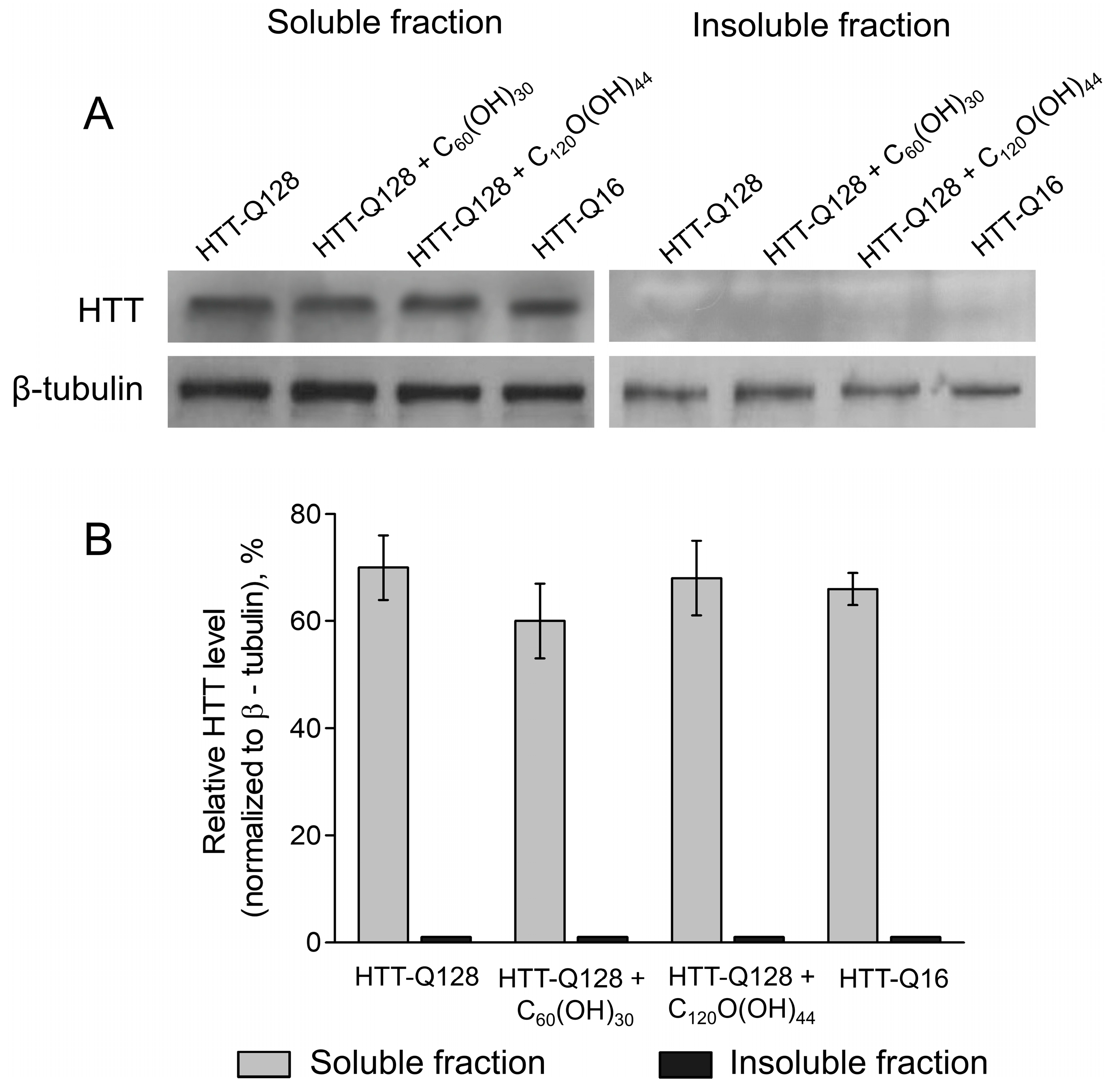 Cells 12 00170 g005 Cells 12 00170 g005